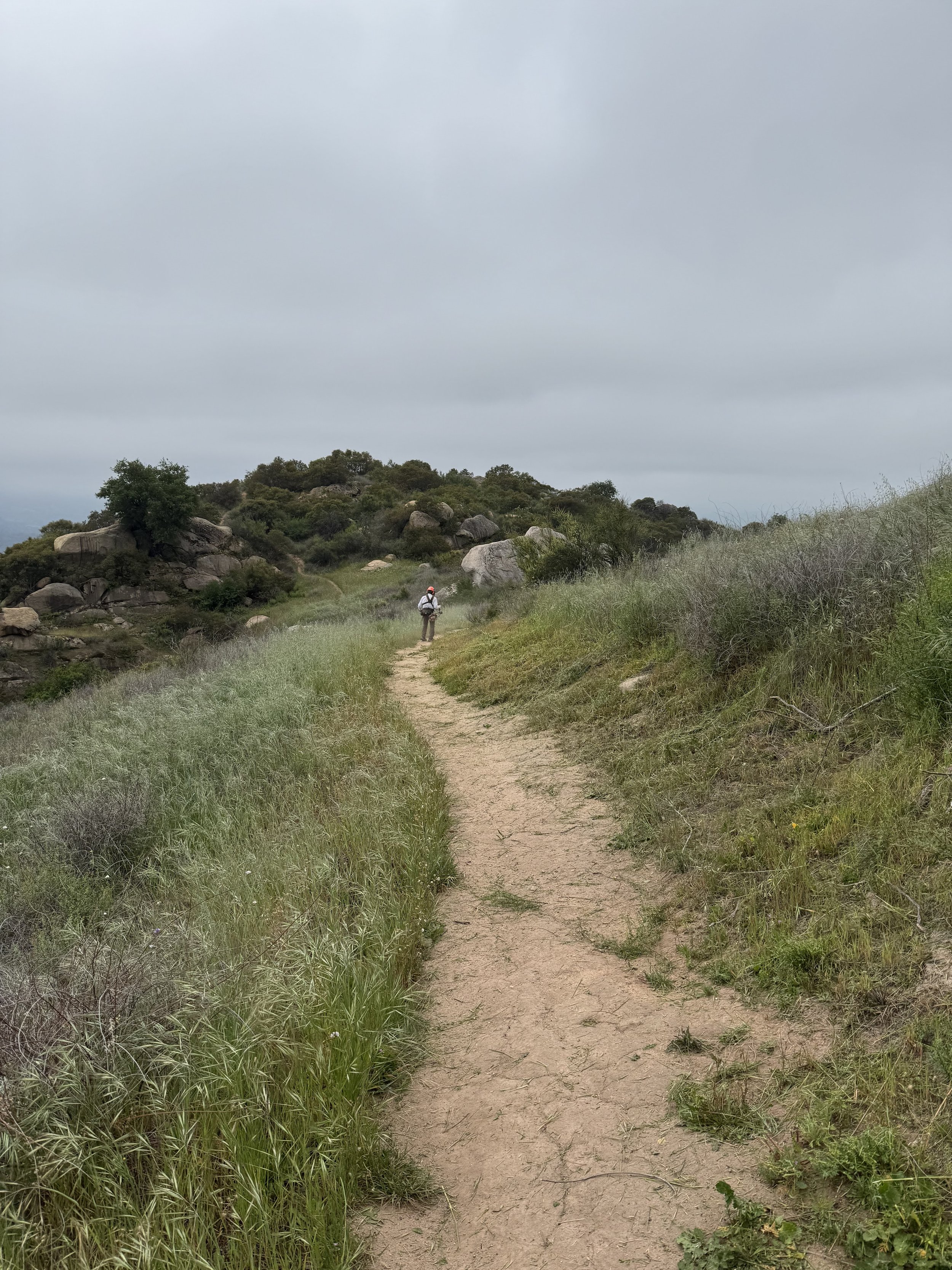 Trail Work