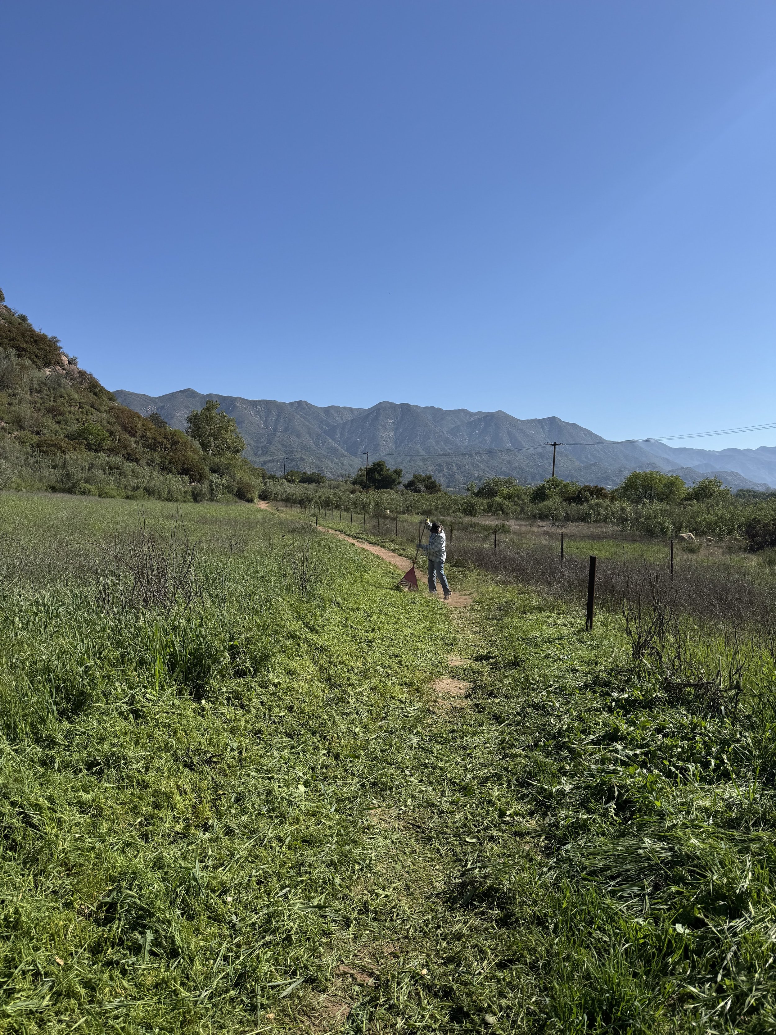Trail Work