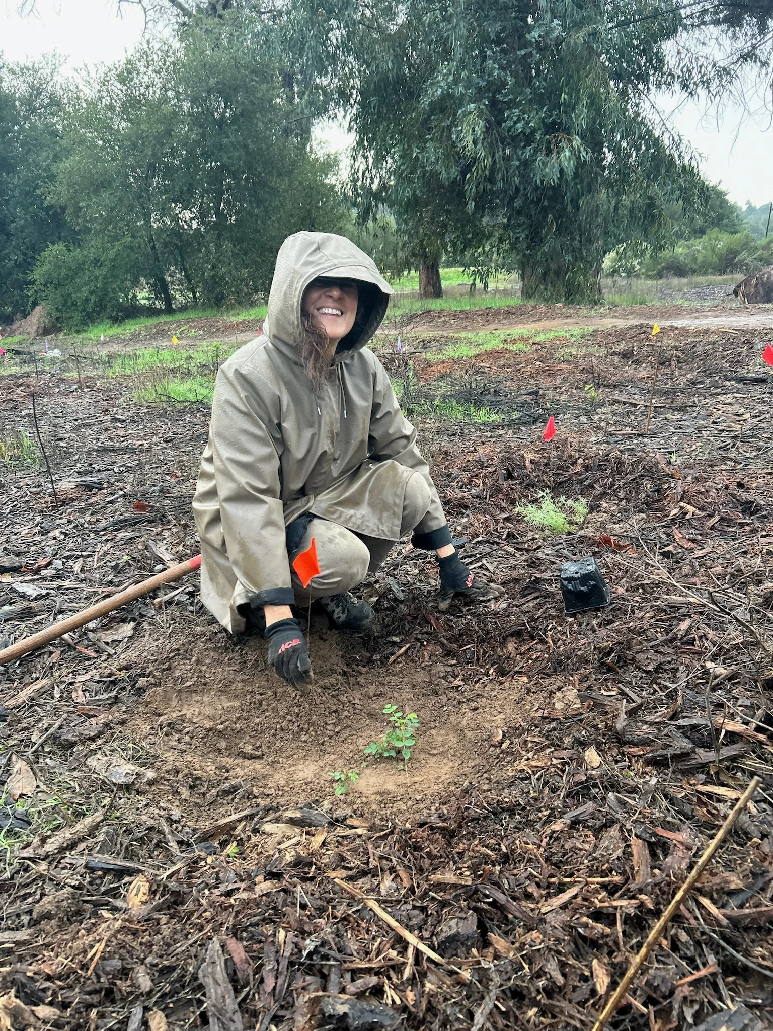 Restoration with Linda