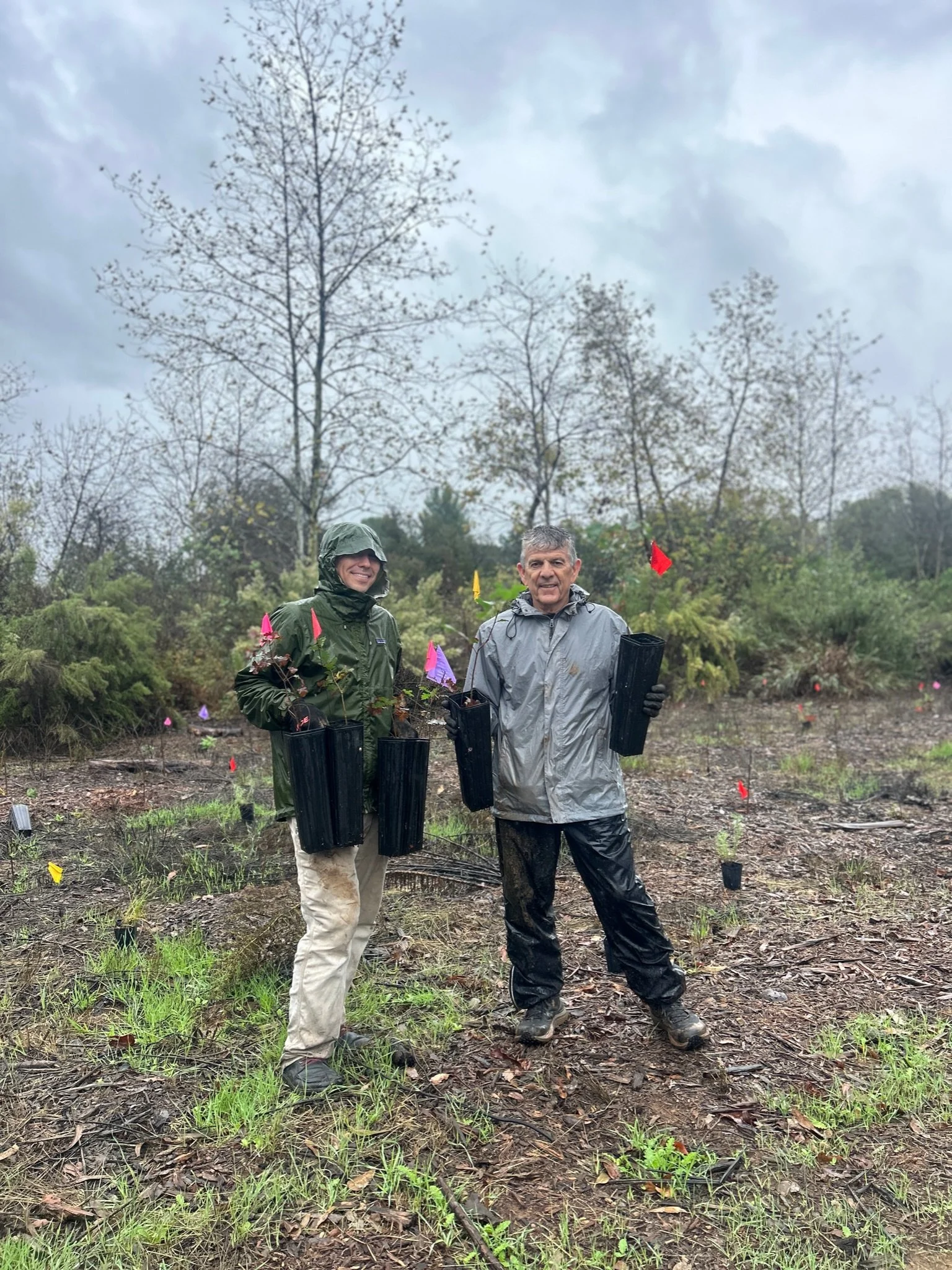 Restoration with Linda