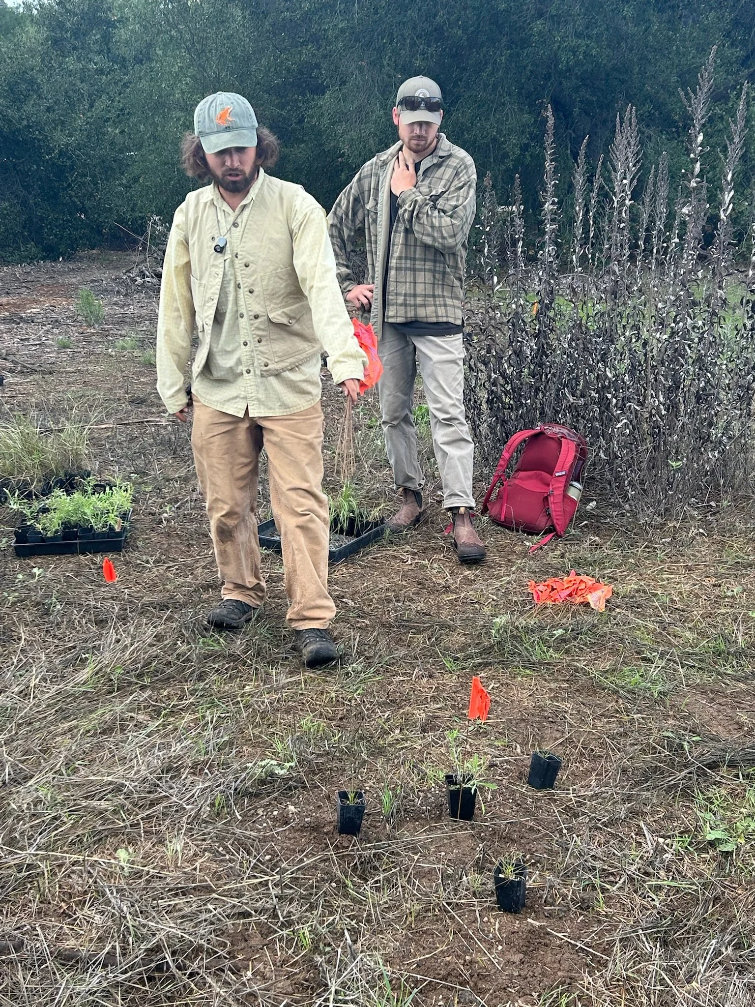 Restoration with Martin