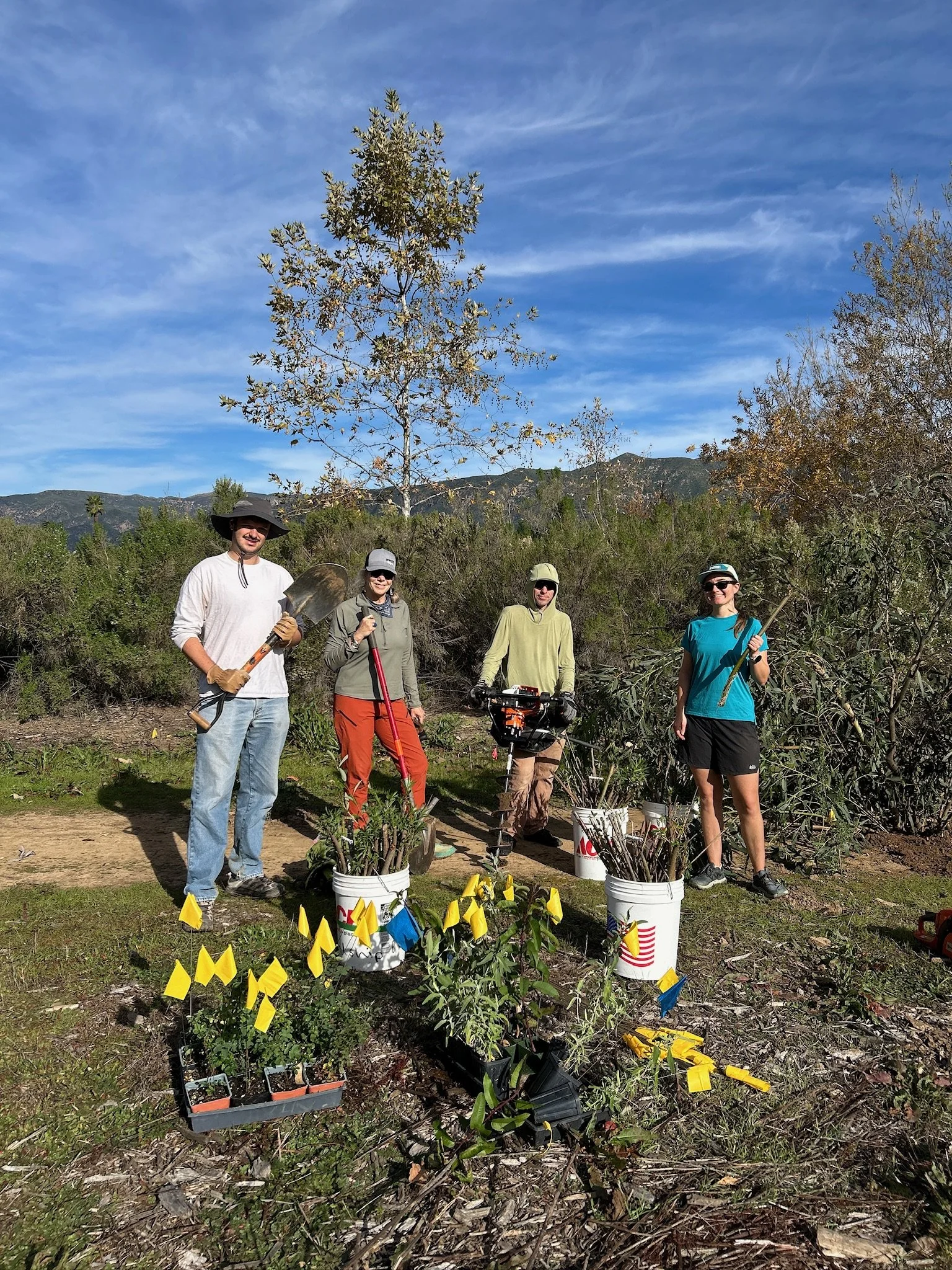 Restoration with Martin