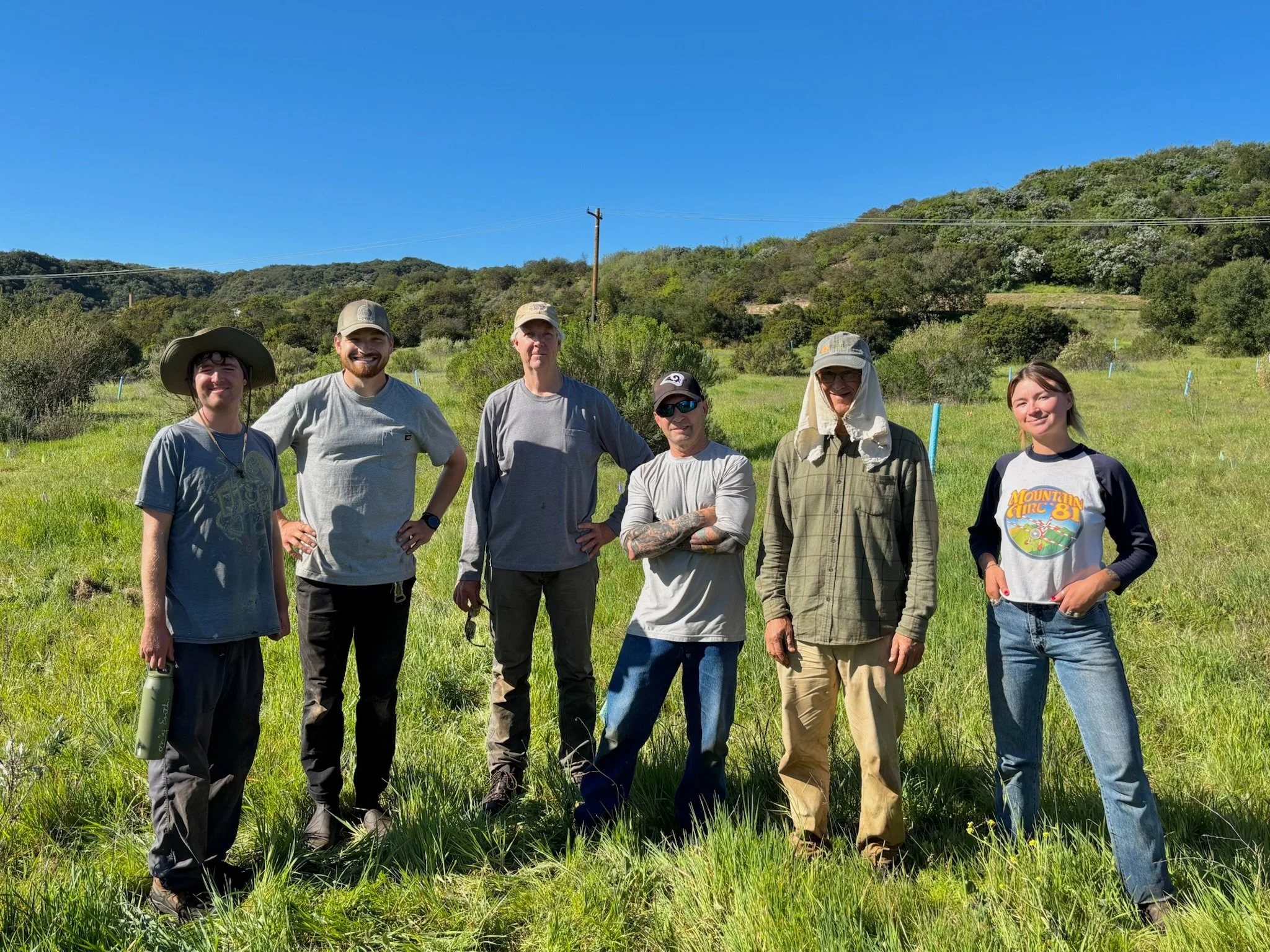 Restoration with Martin