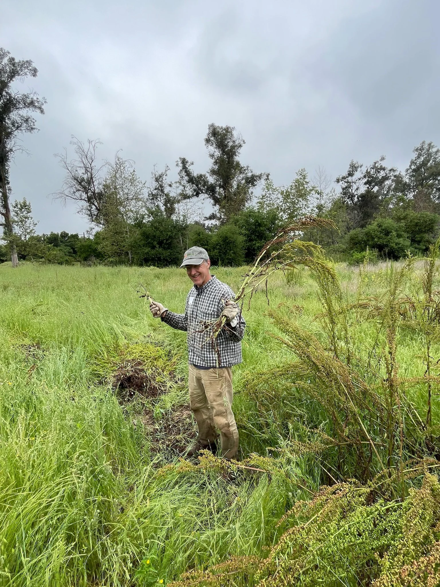 Restoration with Martin