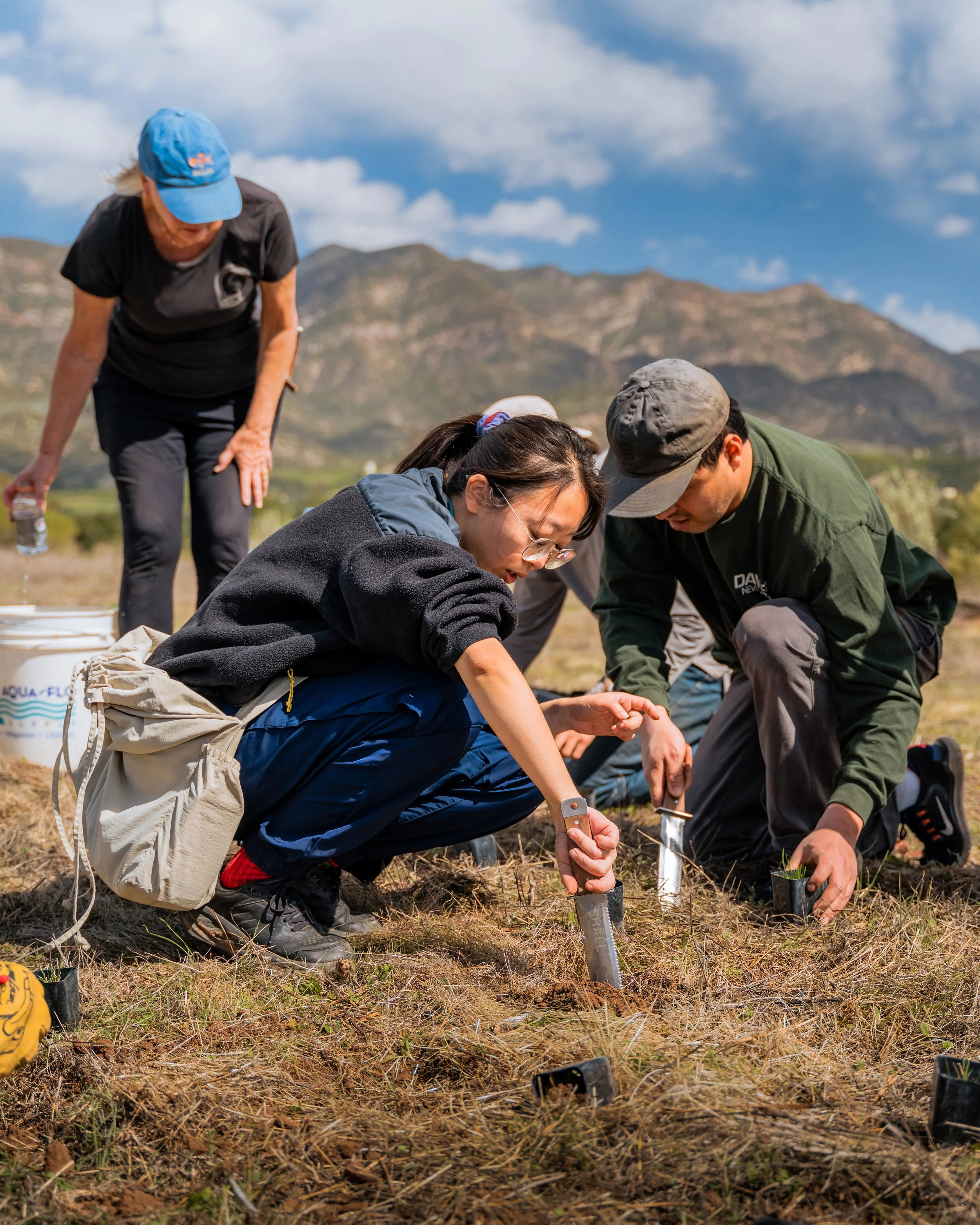 Restoration with Martin 