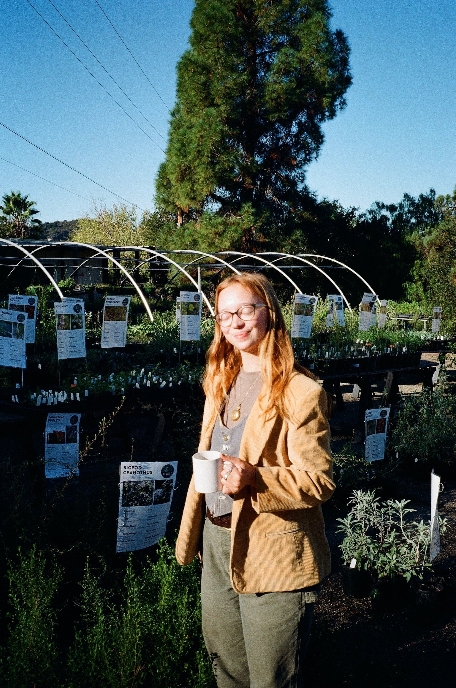 Spring Native Plant Sale