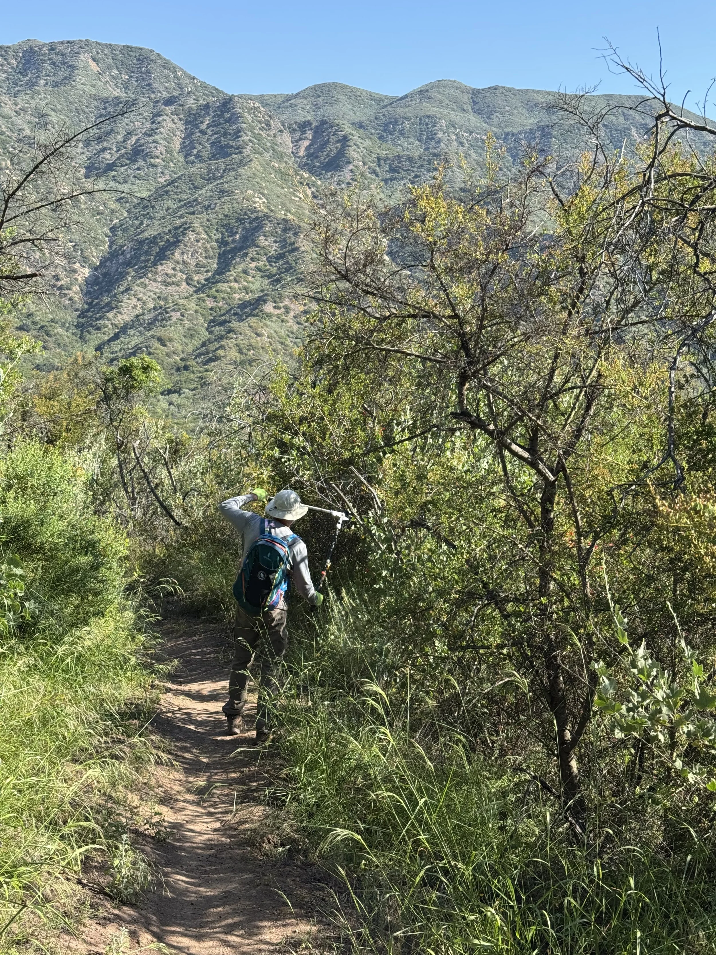 Trail clearance with Linda