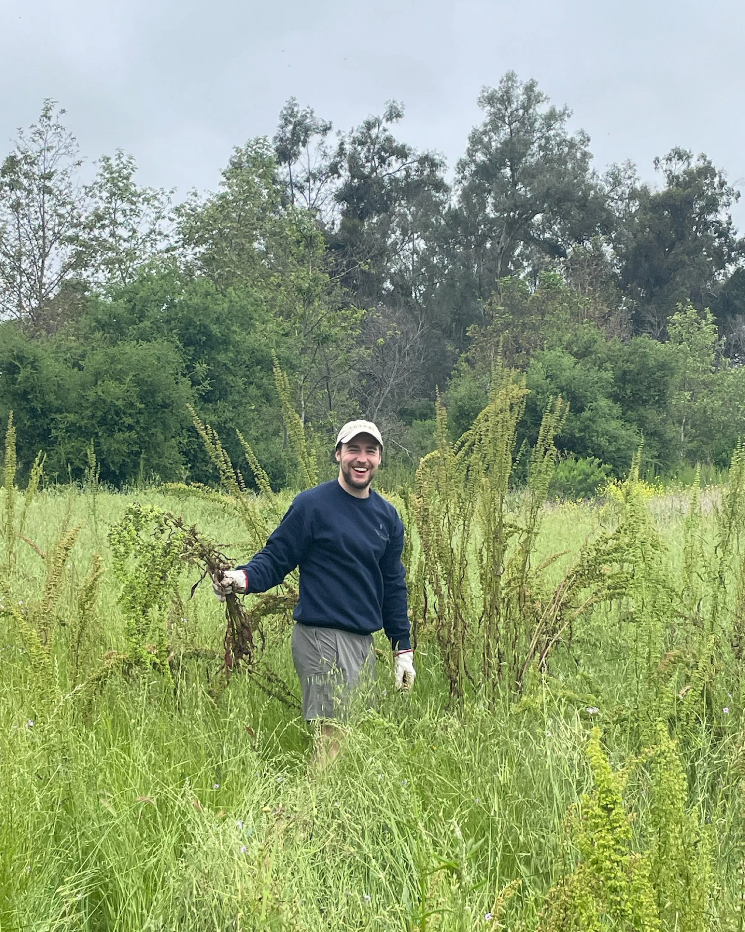 Native Planting Care Day