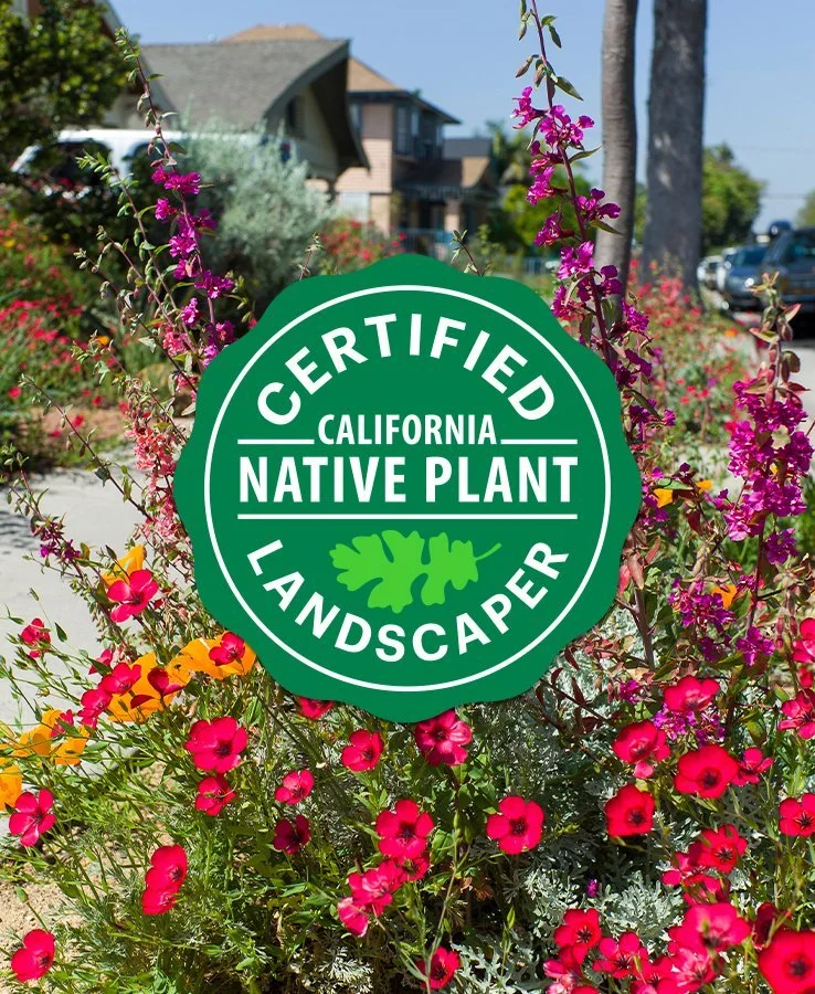 California Native Plant Landscaper Certification