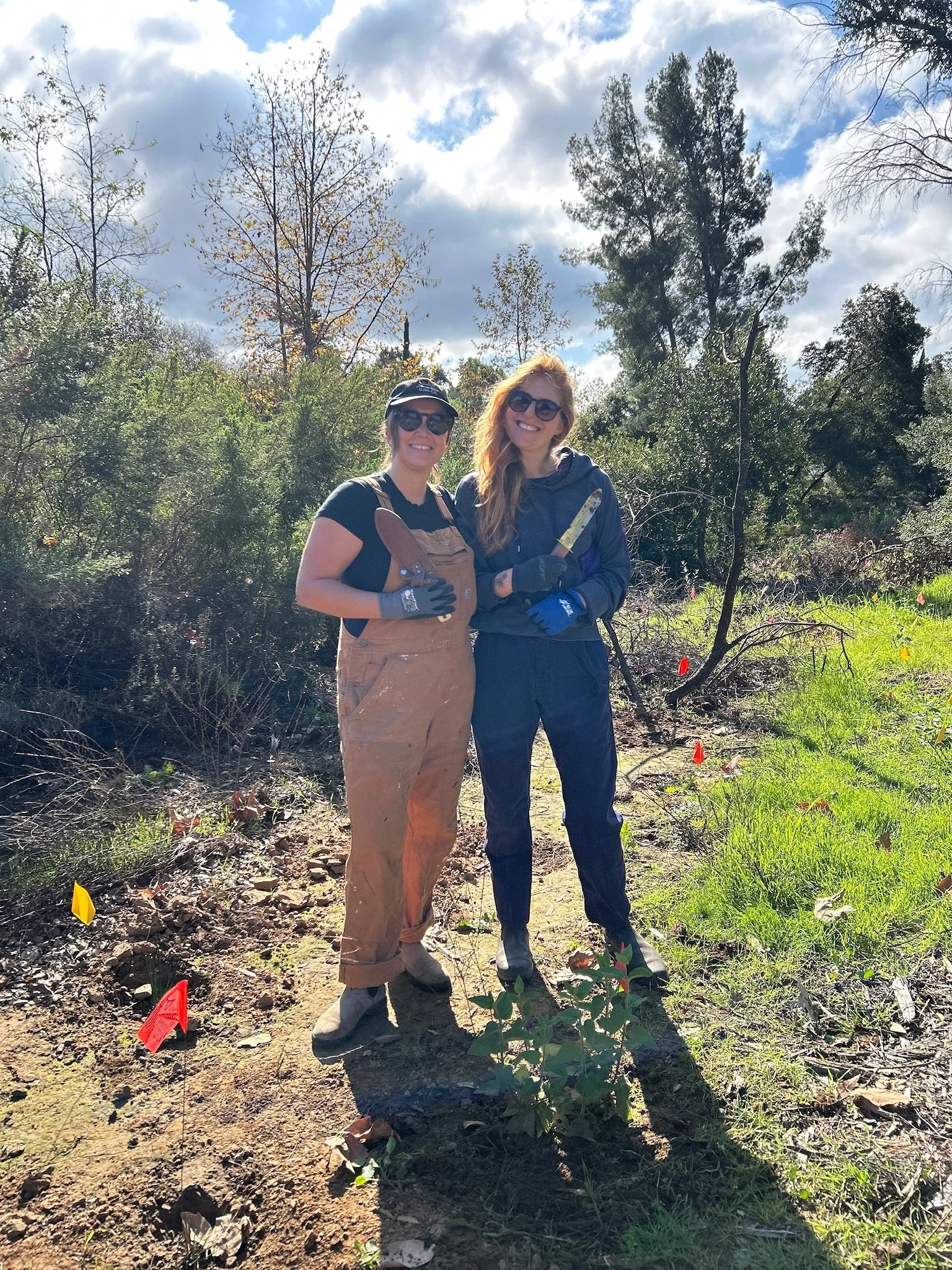 Invasive Removal with Field Crew