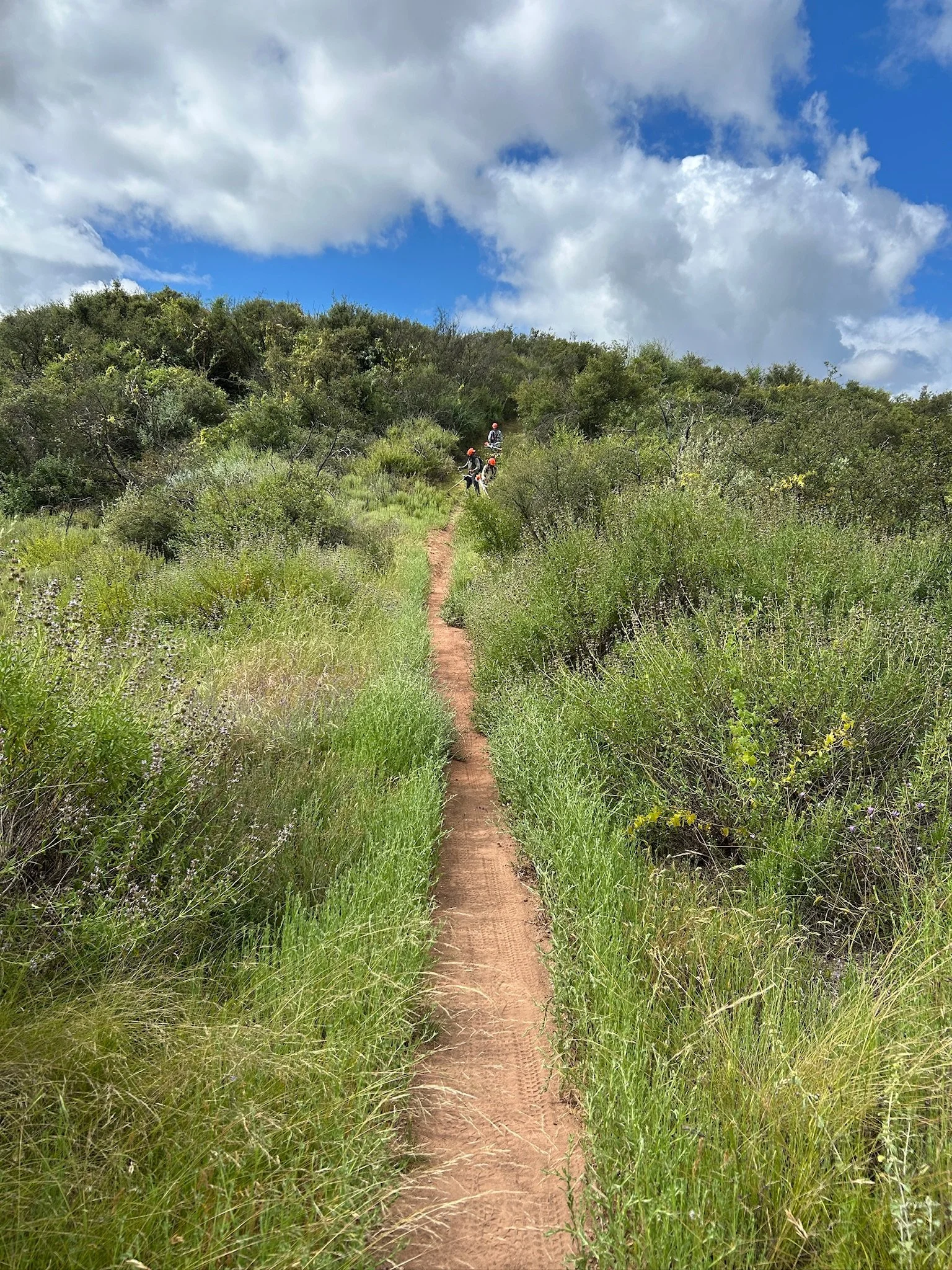 Trail clearance with Linda