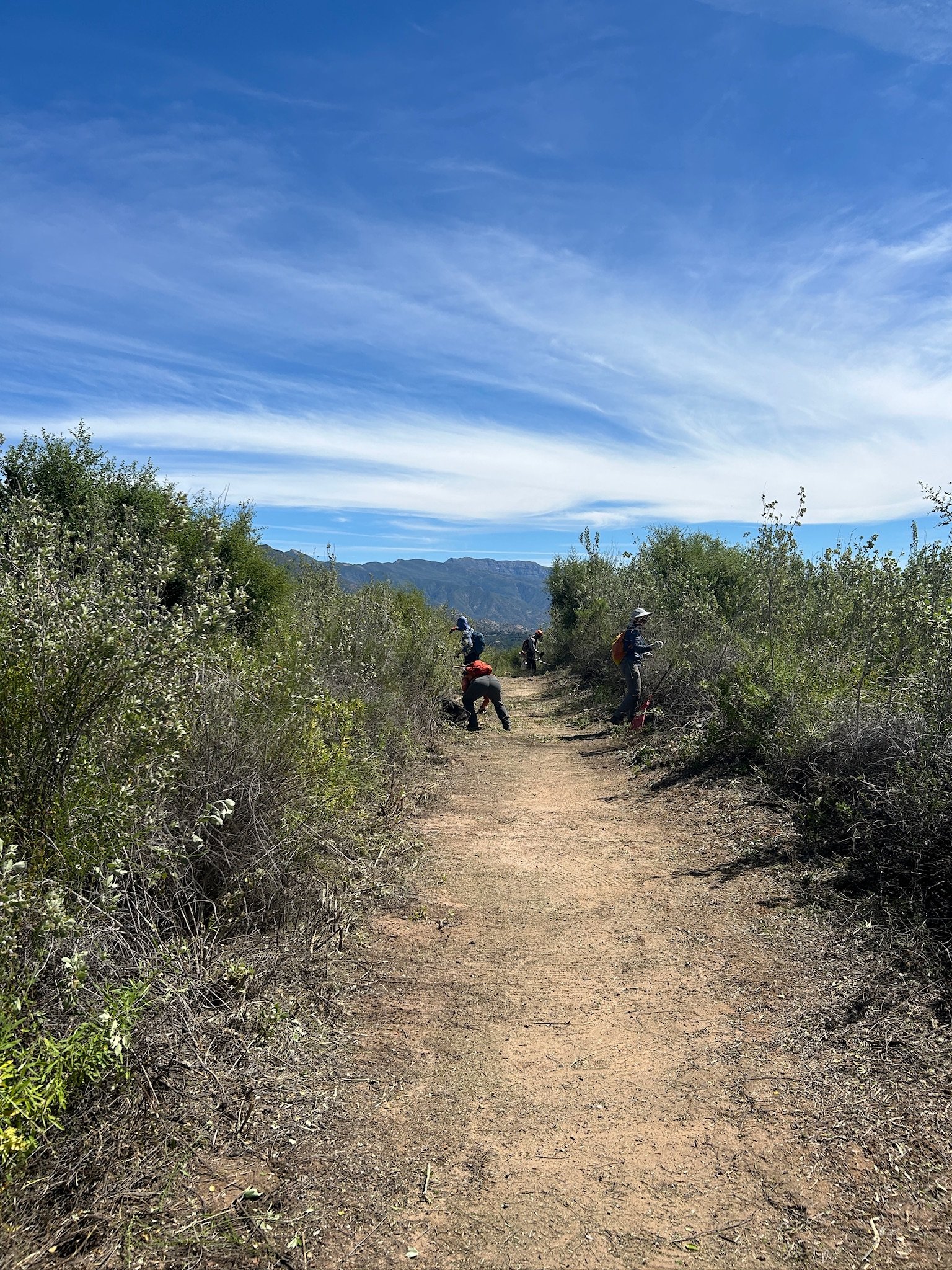 Trail clearance with Linda