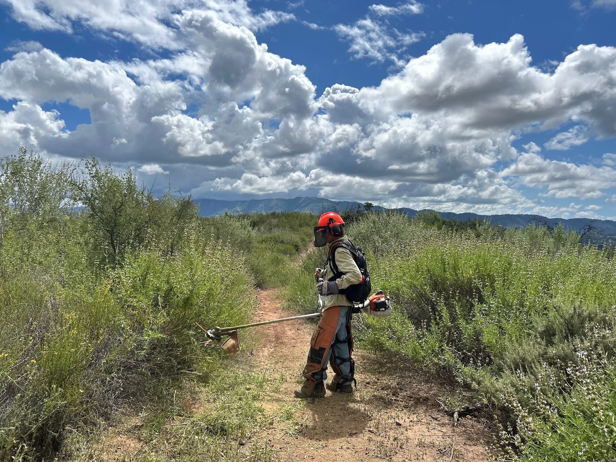 Trail clearance with Linda 