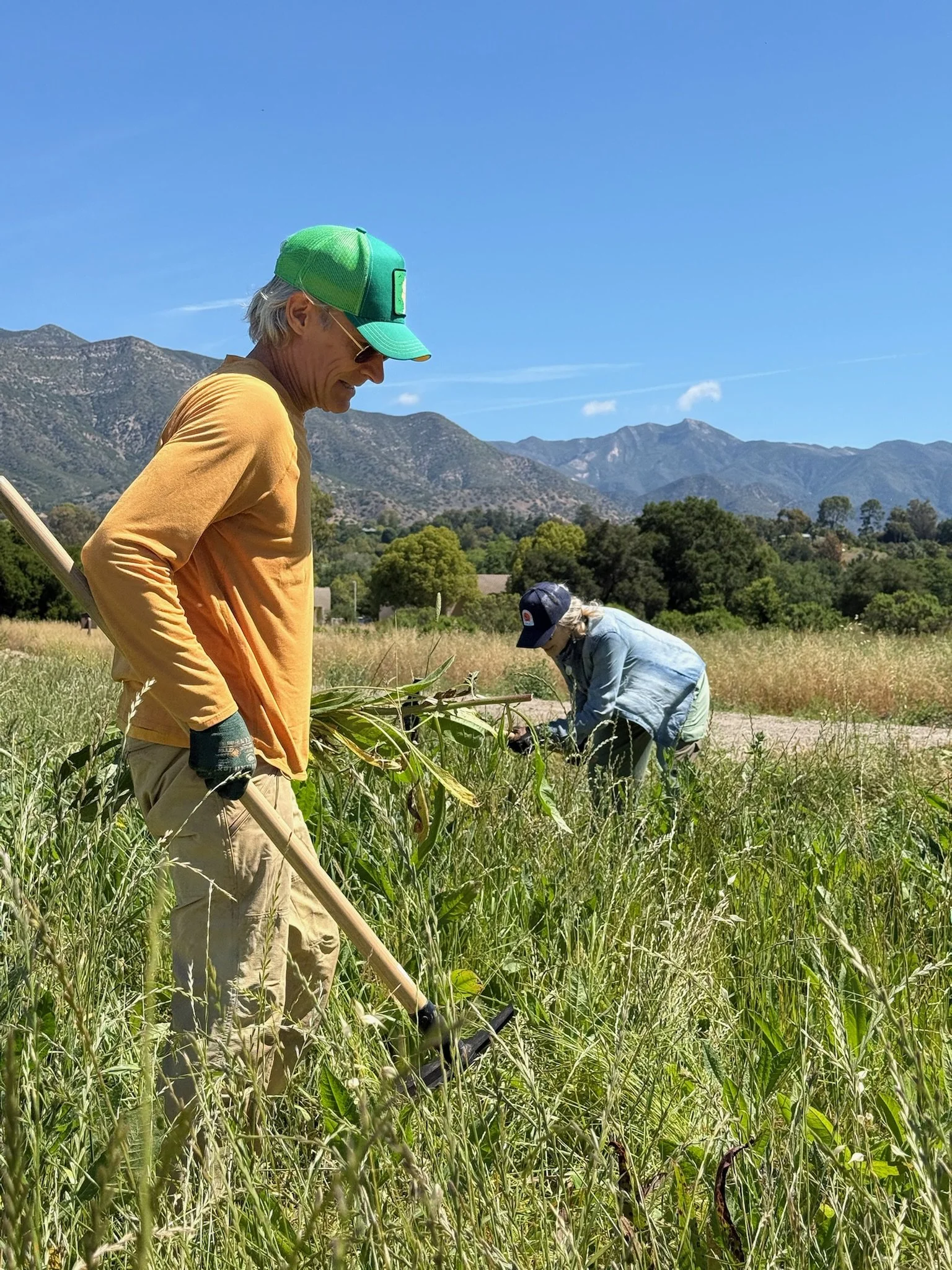 Restoration with Field Crew