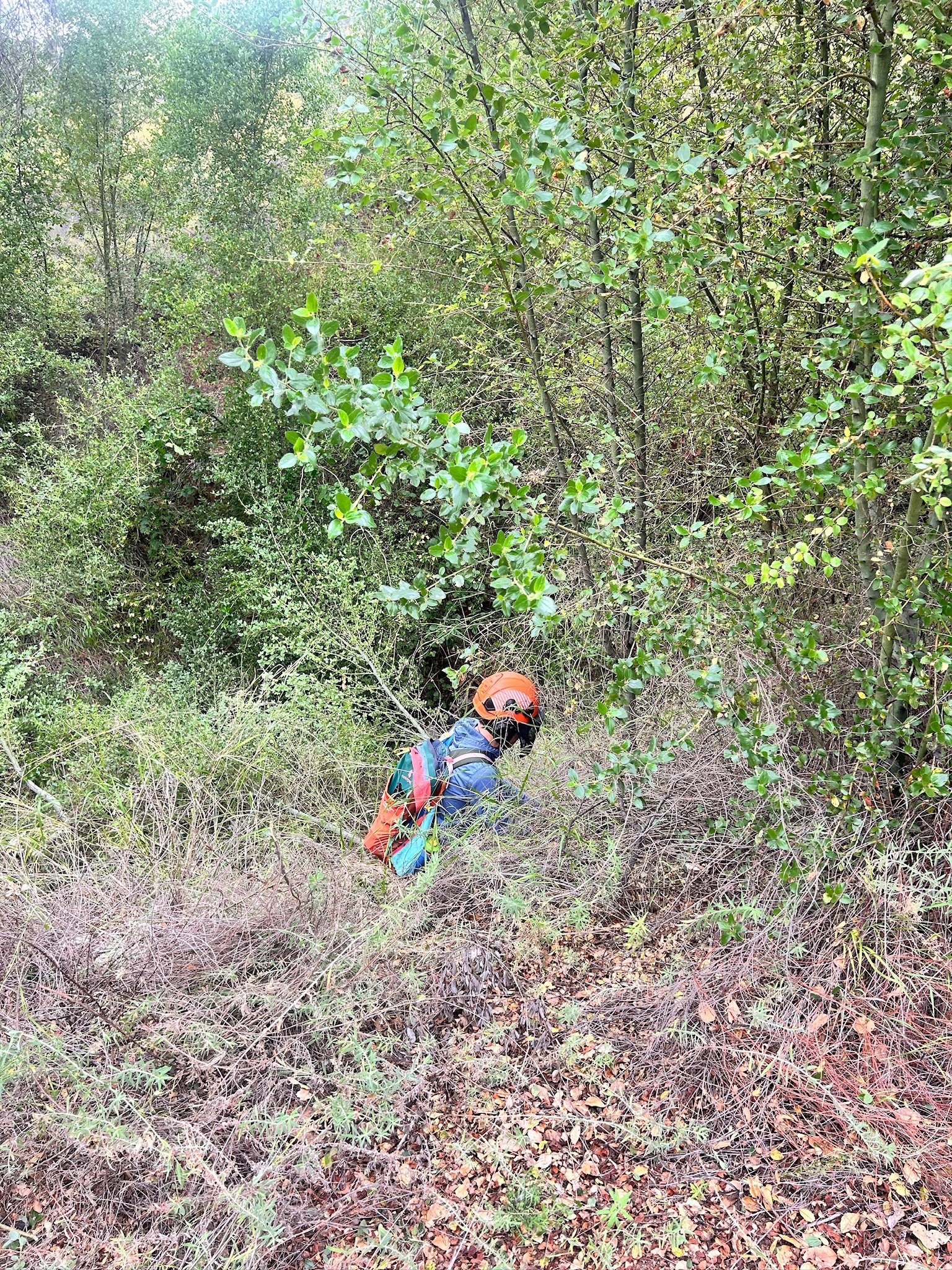 Trail clearance with Keith