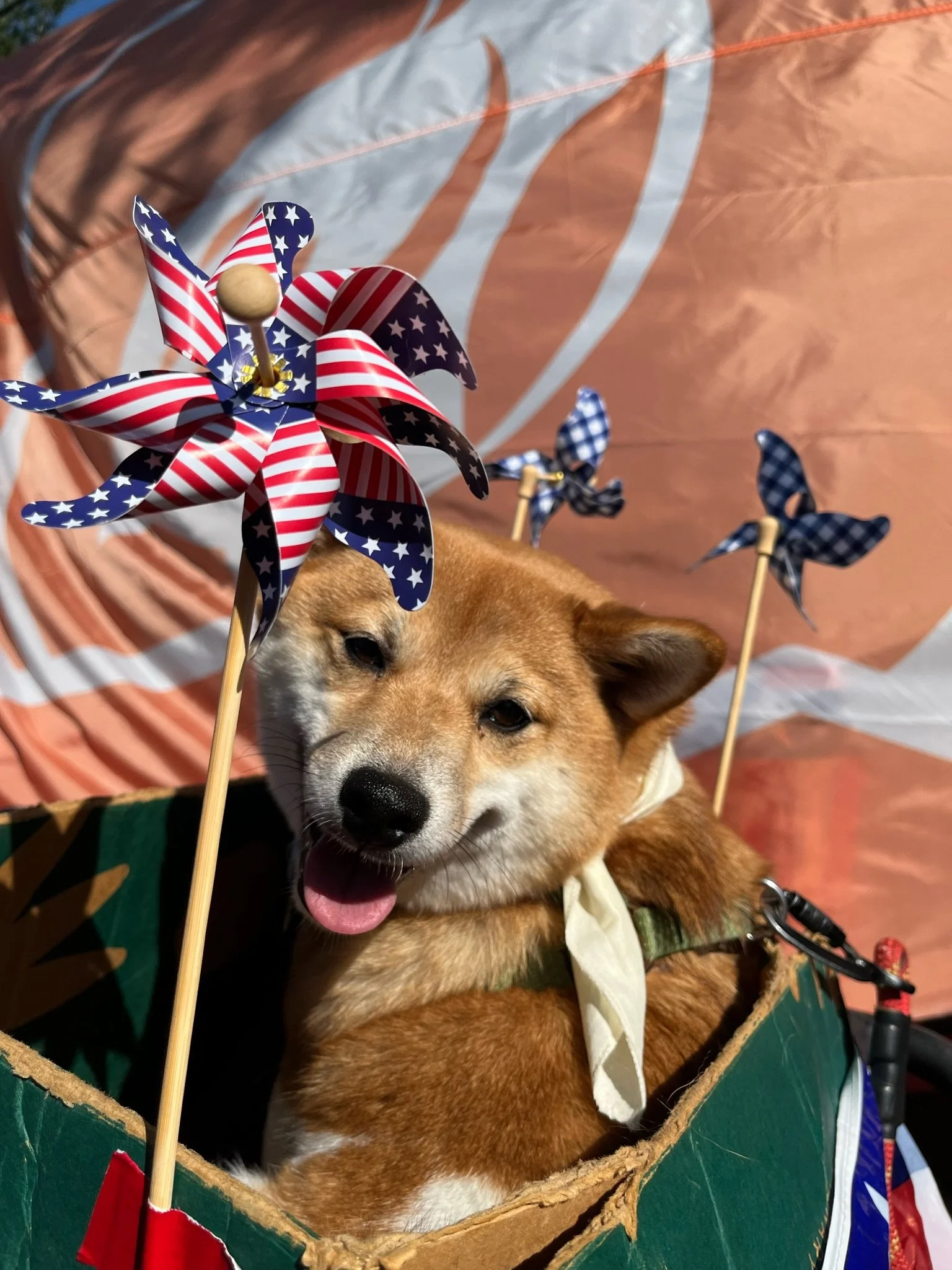 4th of July Float Decoration Making Party