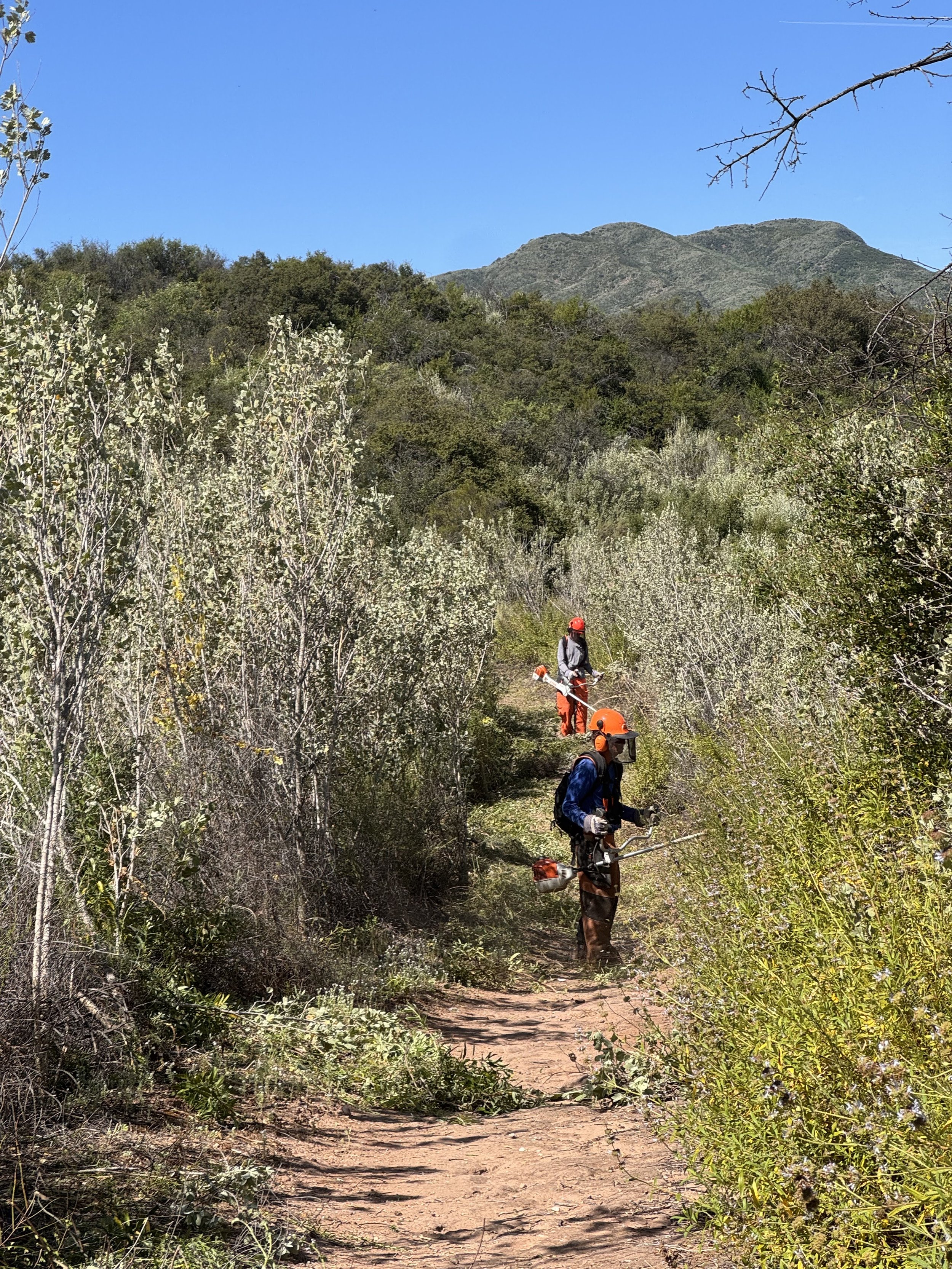 Trail clearance with Anthony