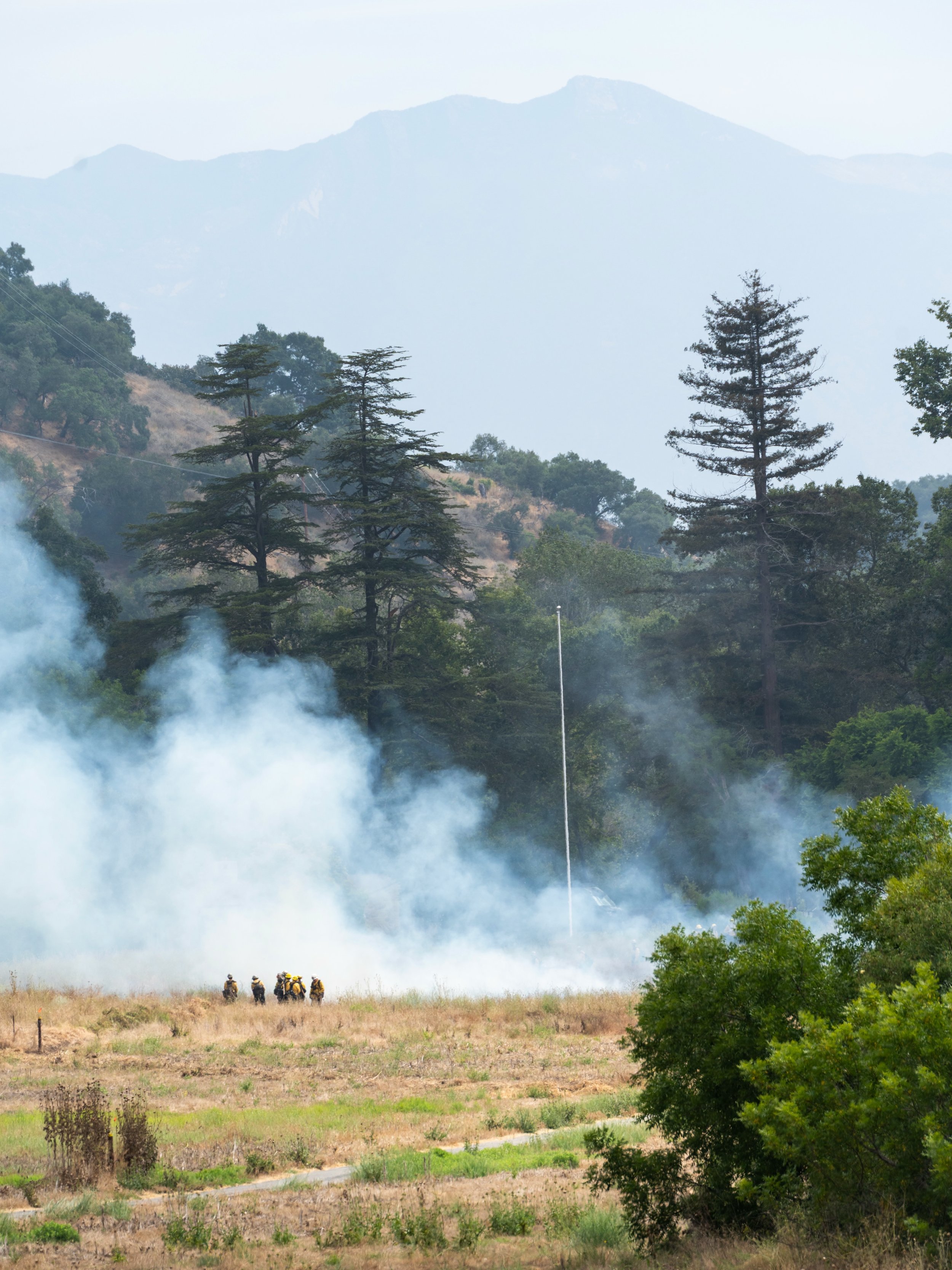 Prescribed Burn Scheduled for Tomorrow (June 24)

OVLC, in partnership with local and regional agencies, is moving forward with a prescribed burn tomorrow, June 24, at the Ventura River Steelhead Preserve west of Casitas Springs, weather and conditio