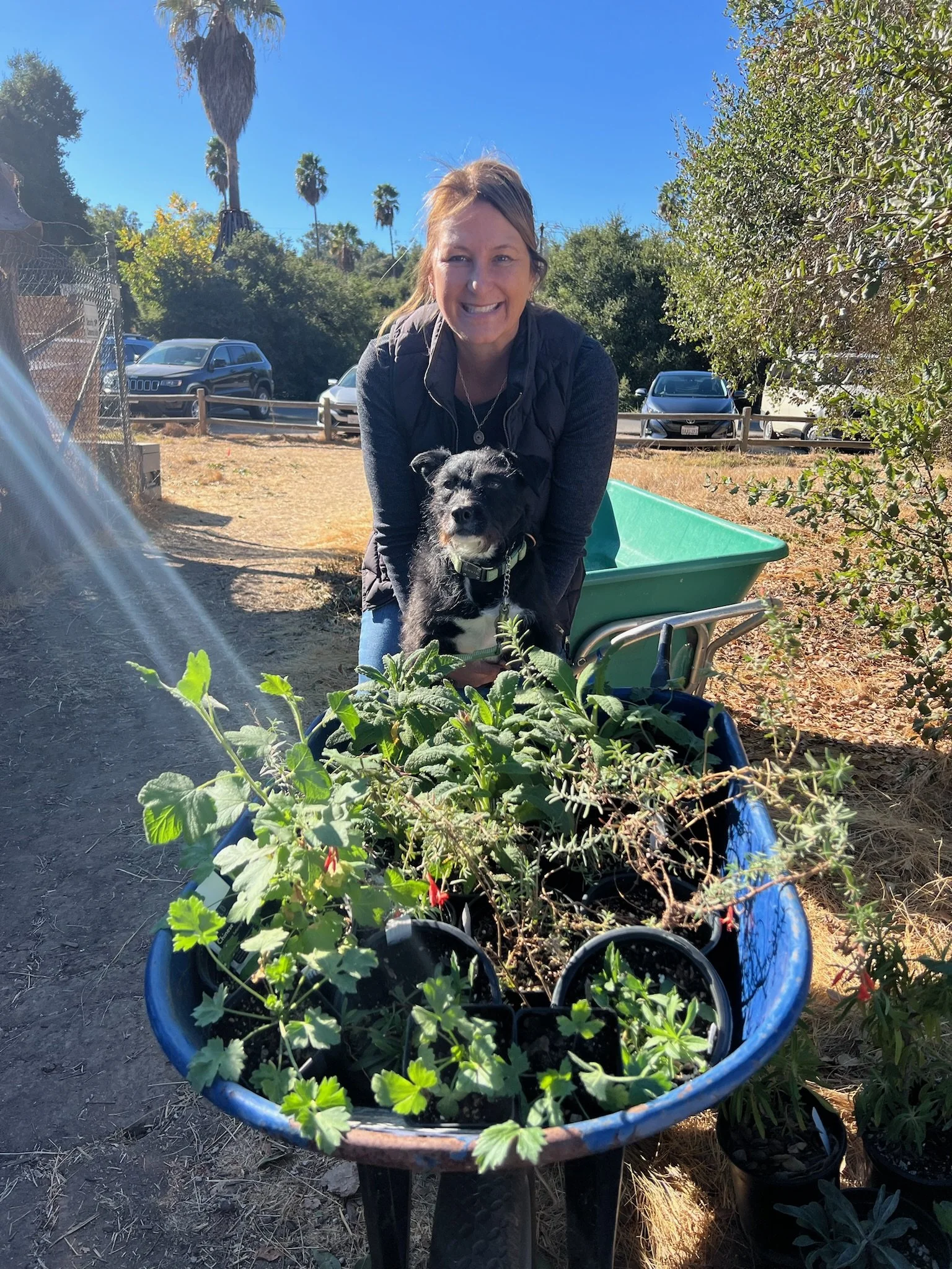 Nursery grand opening Plant Sale