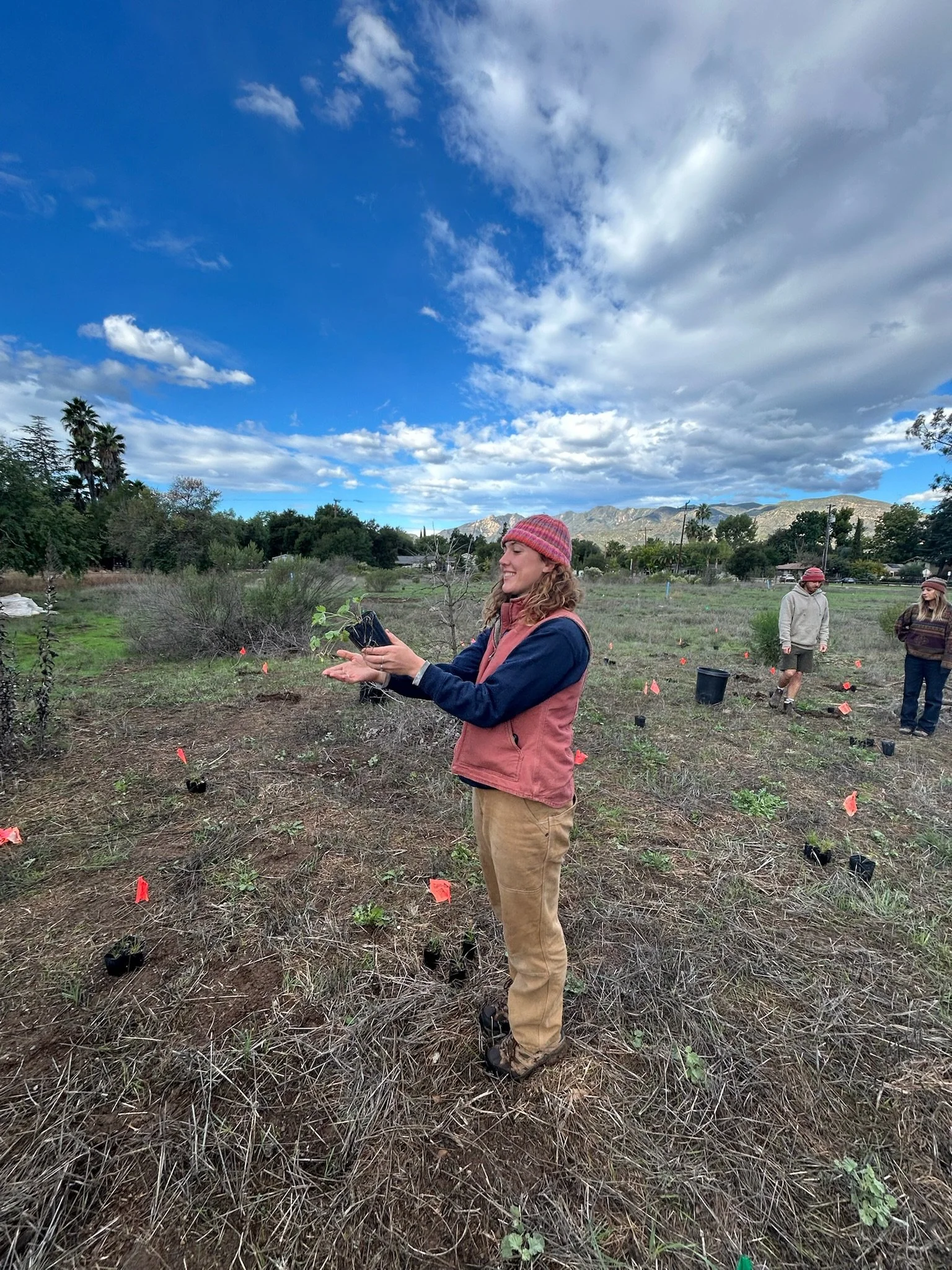 Sowing and Planting Workshop