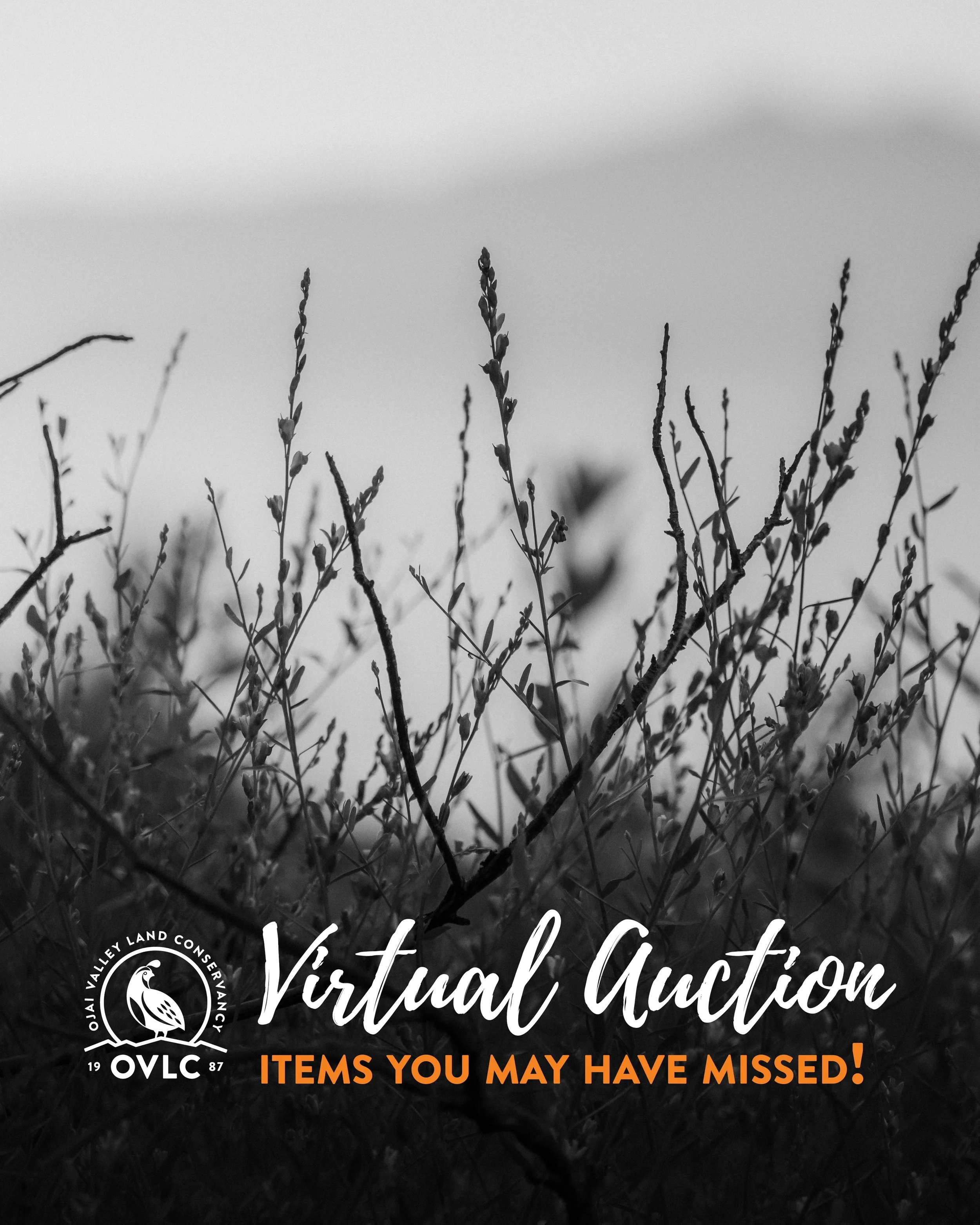 Our virtual auction is still going strong, with more than 70 items, experiences, and local treasures up for bid. From one-of-a-kind finds to memorable experiences, there&rsquo;s still plenty to explore.

Bidding is open now through Monday, September 