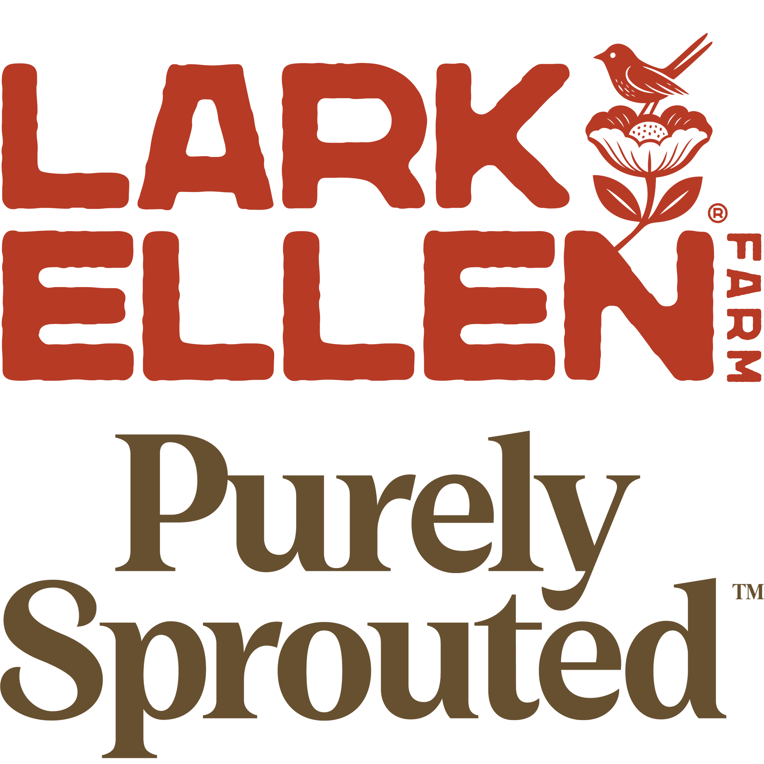 Steelhead Partner