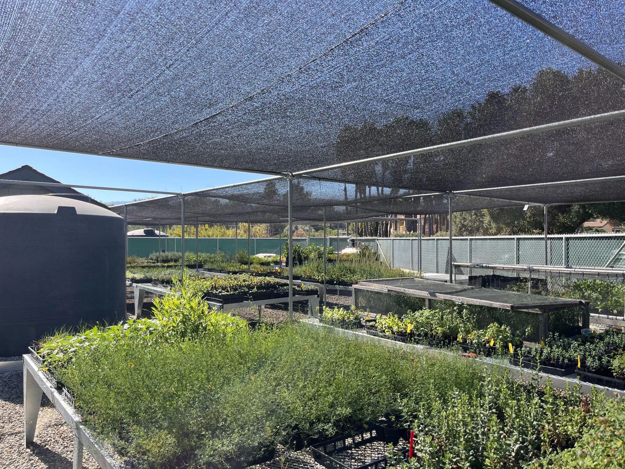 GROWING THE FUTURE: OUR NATIVE PLANT NURSERY EXPANSION&nbsp;