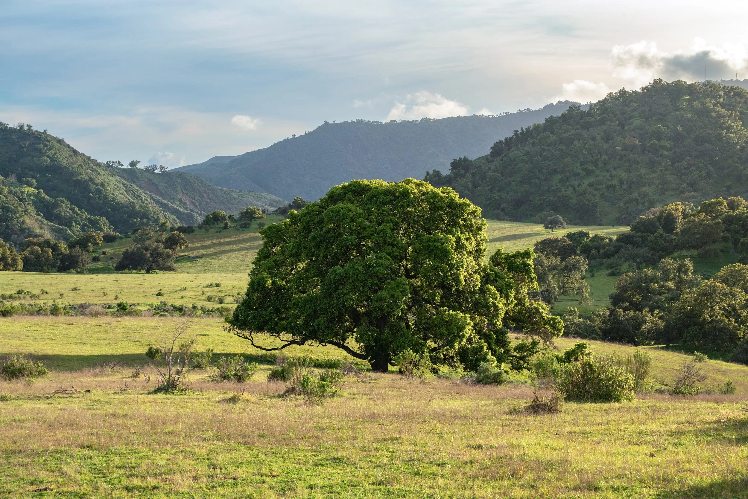 Rancho Cañada Larga