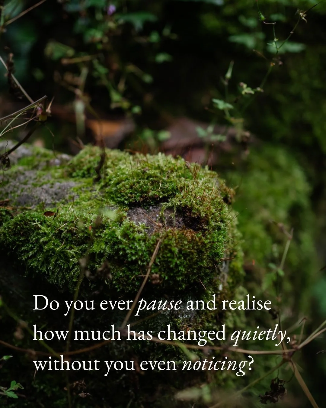 ✨&nbsp;Do you ever pause and realise how much has changed quietly, without you even noticing

🌱&nbsp;Sometimes I look back and realise how much has grown quietly, behind the scenes. When I started sharing online, I never imagined this small, steady 