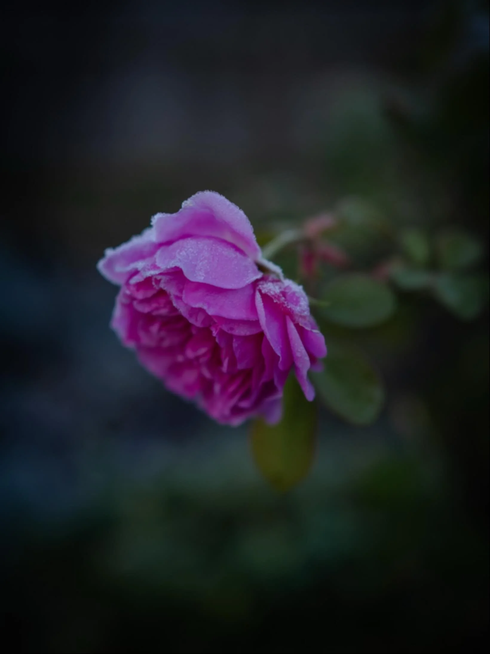 🌿&nbsp;Have you ever felt that the world spins at a pace with which you could never hope to keep up?

✨&nbsp;I&rsquo;ve felt this, but I&rsquo;ve also learnt that so often, my own pace is enough. I don&rsquo;t need to match the pace of the world.

?