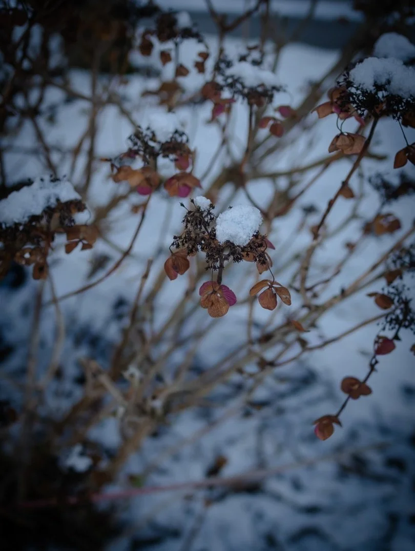 There are some landmarks we notice long before we have the words to explain why.

As a child, I was drawn to windmills - spotting them on the horizon, locating myself in the landscape by their turning sails. Long before satnavs and signposts, they fe