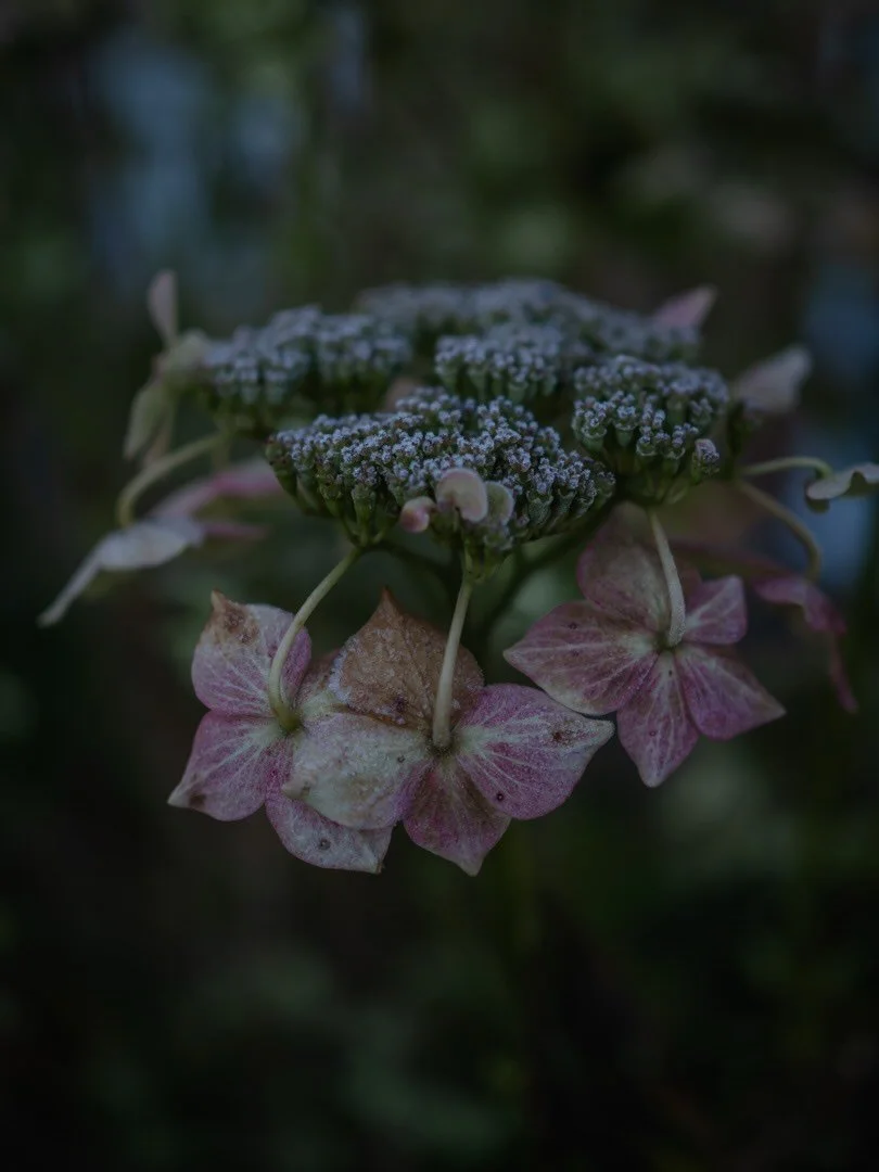 I&rsquo;m not normally one for trends - I may be the least trendy person you know - but in recent weeks, there have been many interesting posts about what people were doing in 2016, 10 years ago.

It&rsquo;s perhaps easy to look back over 10 years an