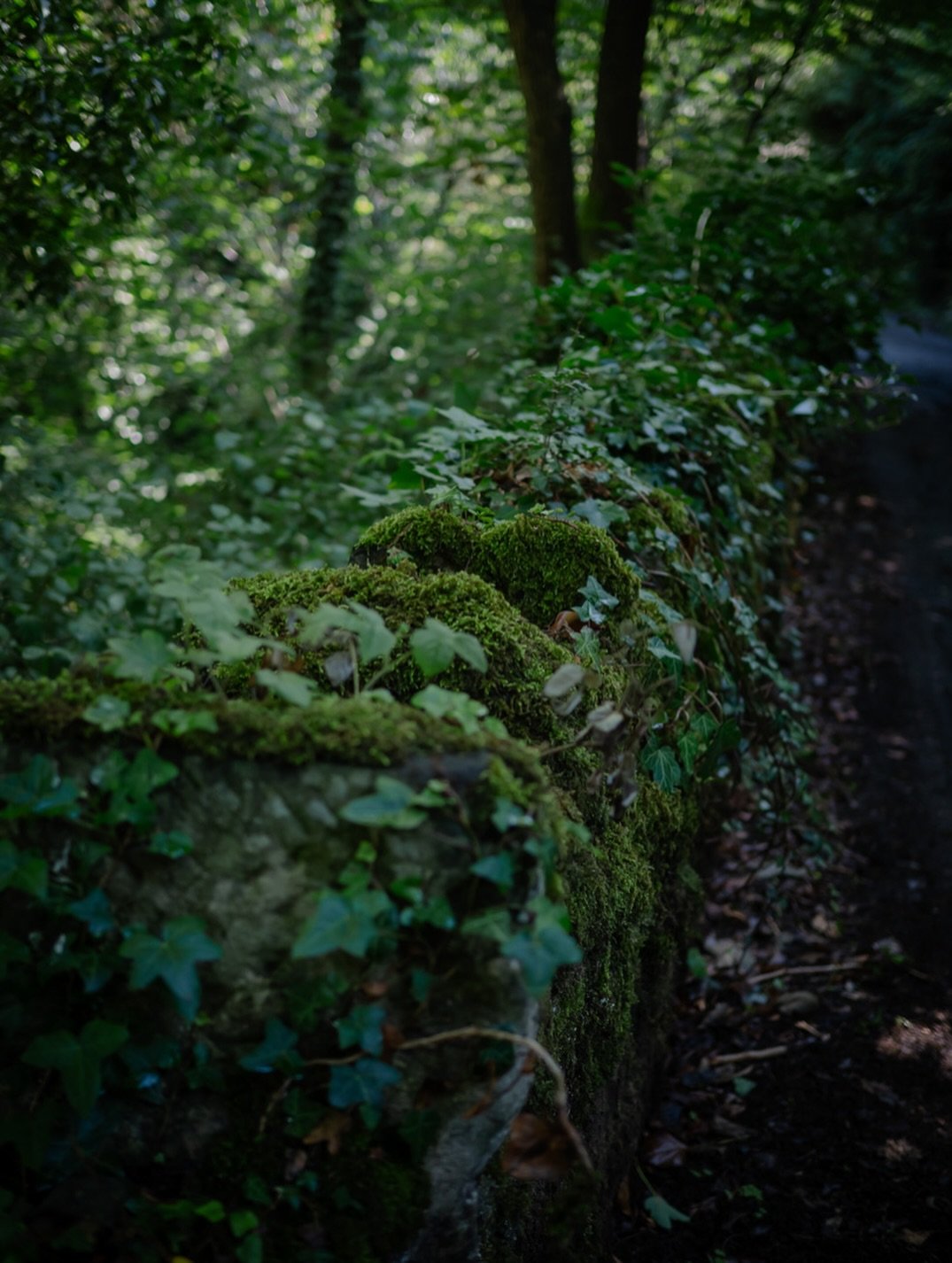 🌱&nbsp;Which is more important, the destination or the journey?

I think that&rsquo;s an almost impossible question to answer. When we know what the destination is, we travel towards it, yet when we don&rsquo;t, we have little option other than to e