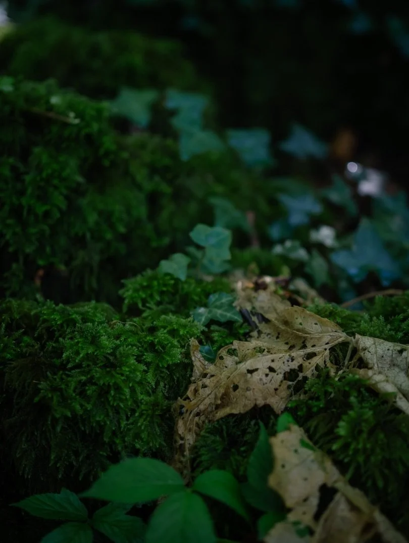 ✨&nbsp;I think that quite early on in my life, I accepted the value of less.

Less can feel negative in a world which craves more - more responsibility, more effort, more ambition, more stuff. We&rsquo;re taught that progress and success come from ac