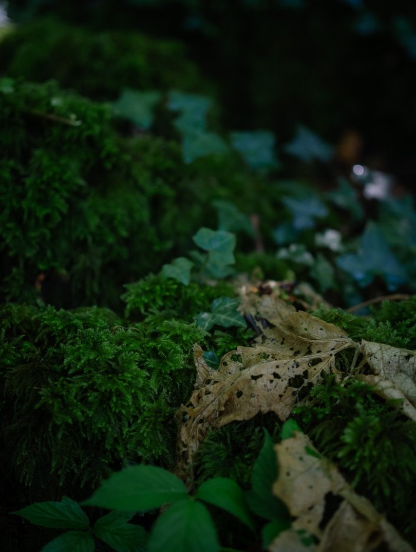 ✨&nbsp;I think that quite early on in my life, I accepted the value of less.

Less can feel negative in a world which craves more - more responsibility, more effort, more ambition, more stuff. We&rsquo;re taught that progress and success come from ac