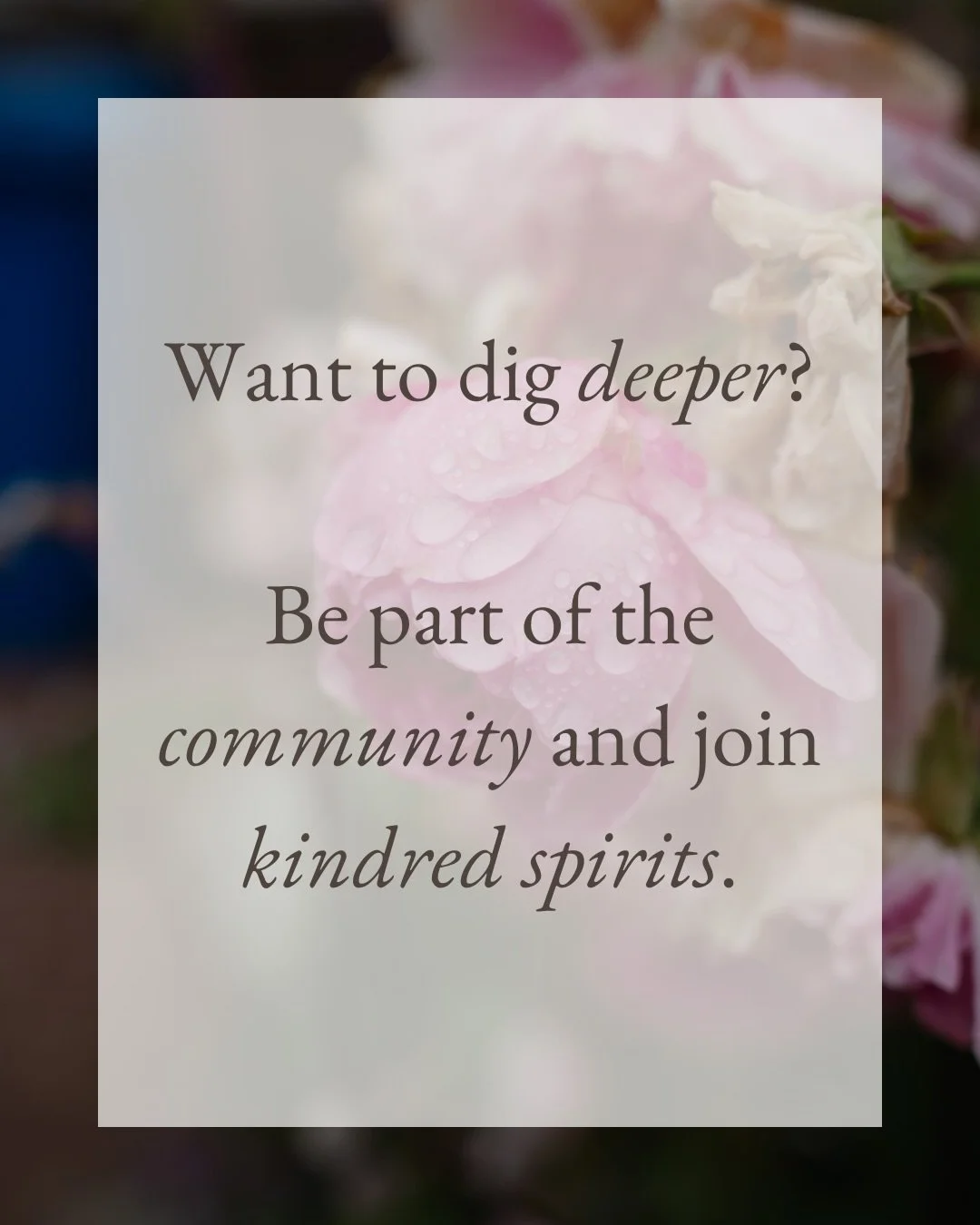 ✨ If you find yourself wearisome of the fleeting changes of the modern world, I hope that here you might find your home - a home amongst kindred spirits, walking together and seeking deeper fulfilment on life&rsquo;s journey.

Rediscover &middot; Rec