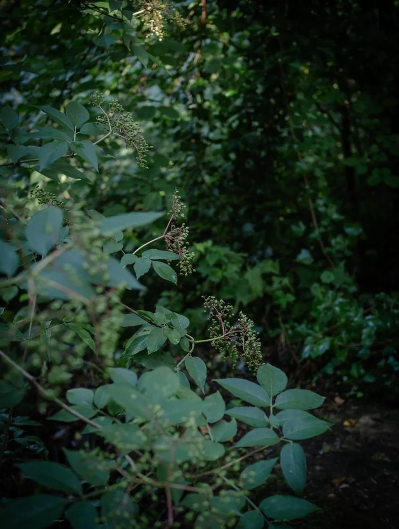 ✨&nbsp;For over a century, radio has journeyed alongside us - in early mornings, in kitchens, in cars - asking nothing more than our companionship in return.

In a visual world that demands attention, reaction and performance, radio simply sits along