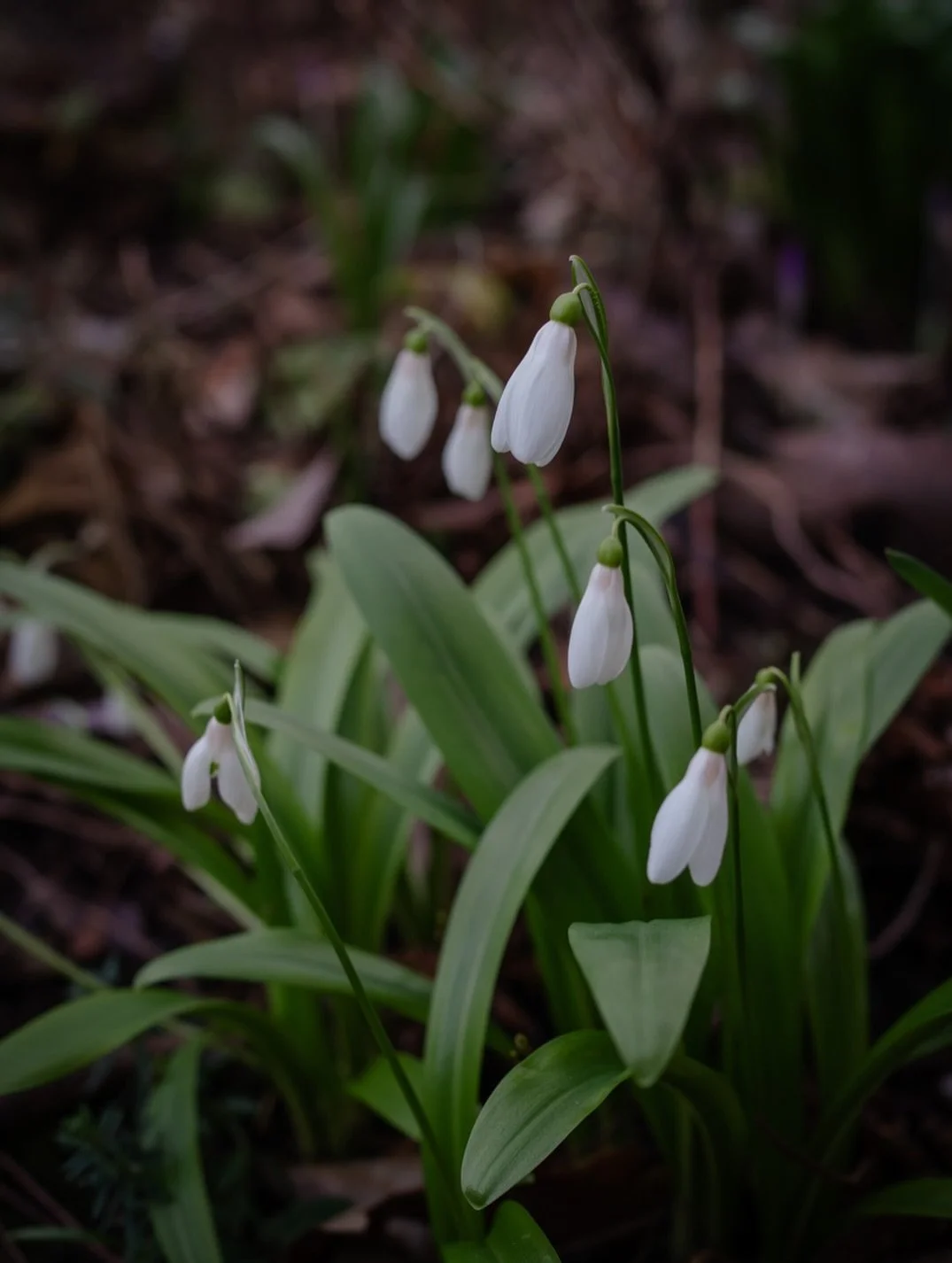 🌿&nbsp;Have you ever found yourself standing somewhere and felt almost overwhelmed by the quiet sense that&nbsp;this is where you are meant to be?

I&rsquo;ve been there.

Sometimes those places - physical or otherwise - meet us in a particular seas