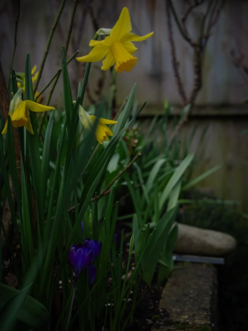 ⏲️&nbsp;All these years on, we still recount the story of Granny forgetting to get the Yorkshire Puddings out of the oven for Sunday lunch, and finding the blackened remains several days later.

She would have laughed and exclaimed how daft she was. 