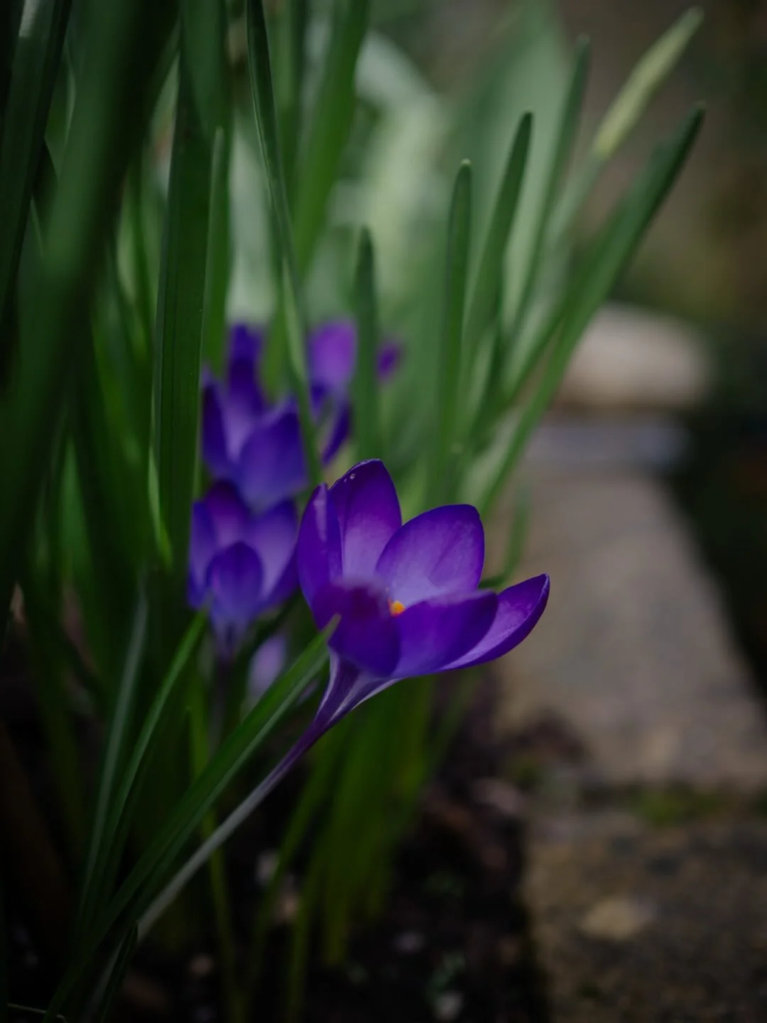 🏖️&nbsp;This morning, I went outside without a coat.

It was a balmy 10&ordm;c - nothing to write home about you might say - but after the continuous grey and damp days, it feels positively tropical.

It&rsquo;s not sunny, but my goodness, feeling t