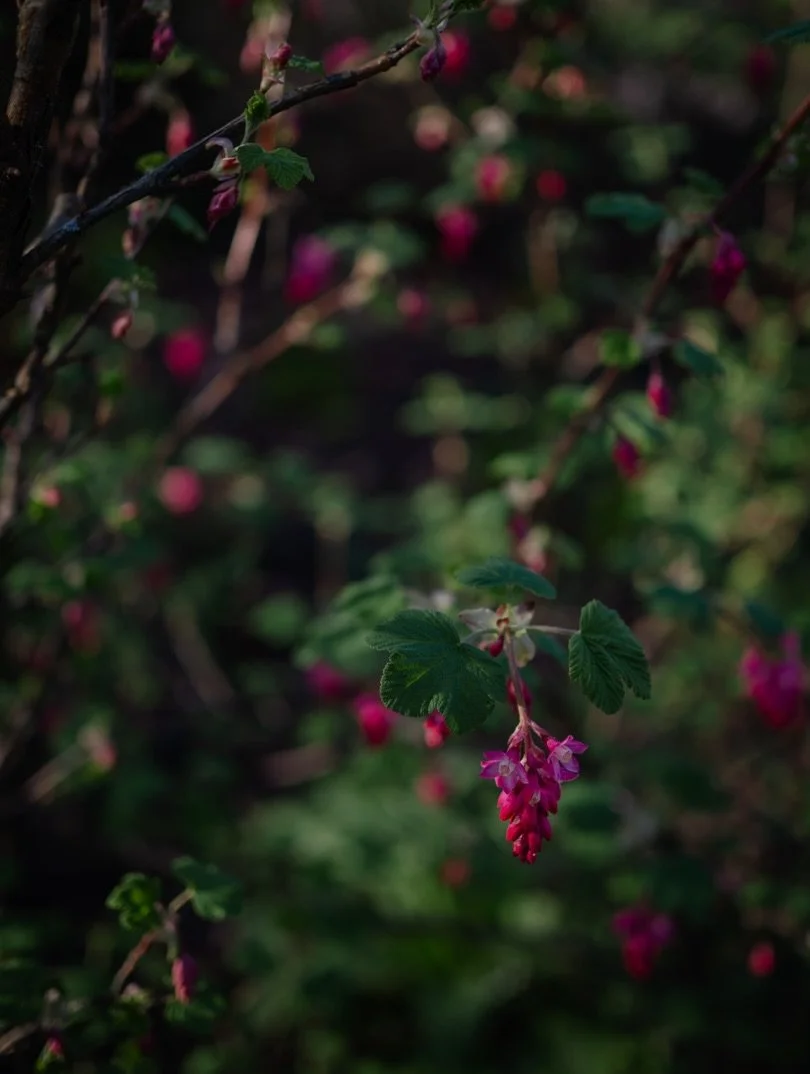 💌&nbsp;There is something magical about receiving a letter or card in the post, gently prising open the envelope.

When I was growing up, we essentially had two ways of keeping in touch with people - you could use the telephone, or you could send so