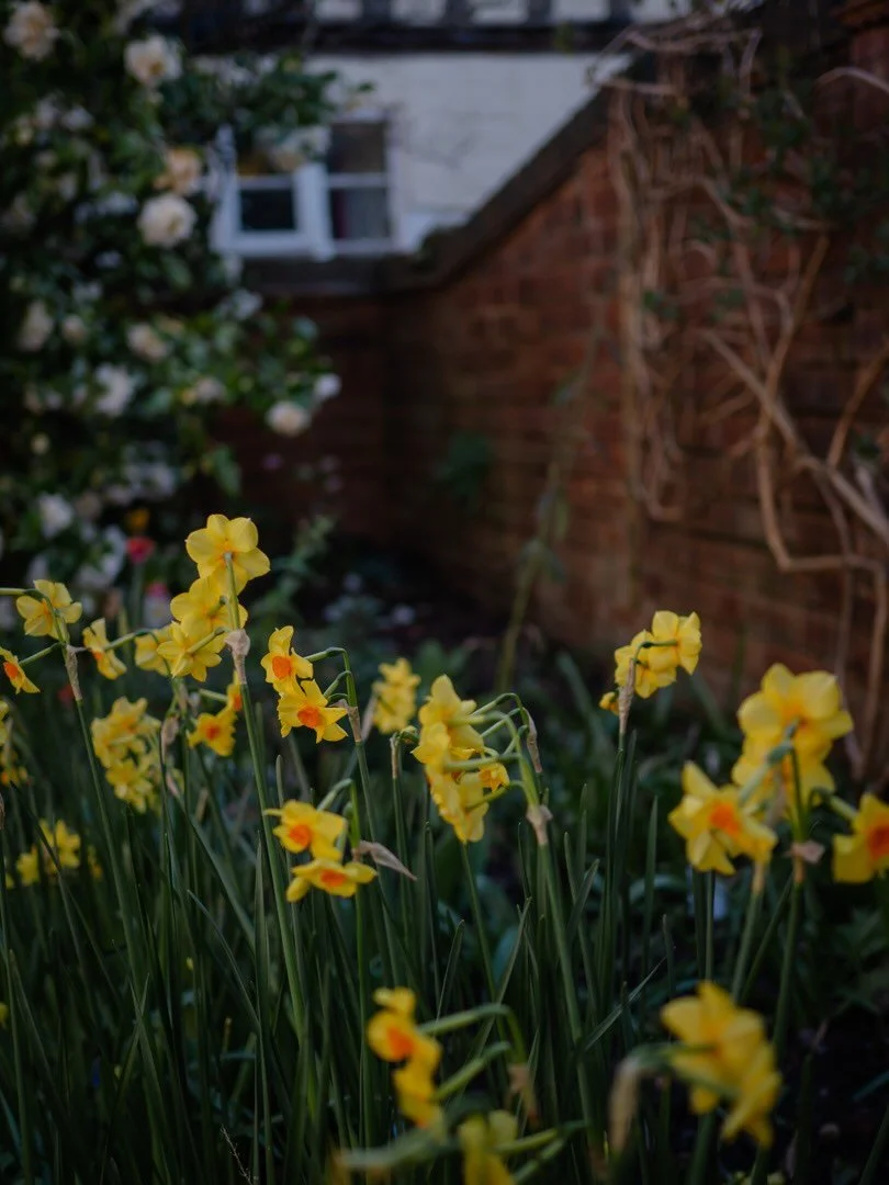 🌱&nbsp;&ldquo;You were born tired.&rdquo;

Those words have followed me for most of my life, and in many ways they&rsquo;re true. No matter how much I sleep or rest, I still seem to wake tired.

But over time I&rsquo;ve begun to wonder whether the r