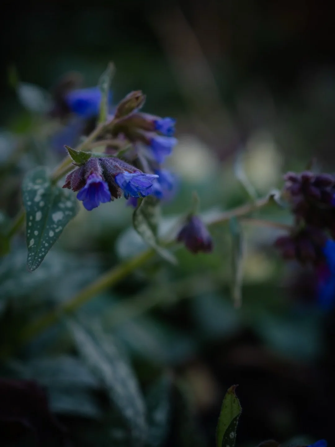 ✨&nbsp;If you asked me at the moment, what&rsquo;s one thing I&rsquo;m looking forward to, it would, without doubt, be the clocks changing next weekend.

In a funny sort of way, the clocks changing feels like the final piece in the jigsaw which marks