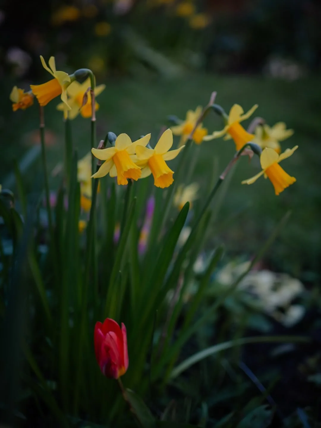 🌿 Do you ever feel like you&rsquo;re falling behind in life, constantly struggling to catch up?

If so, you&rsquo;re not alone. We live in a society which glorifies hustle, which conditions us to spend day after day striving for the next material as