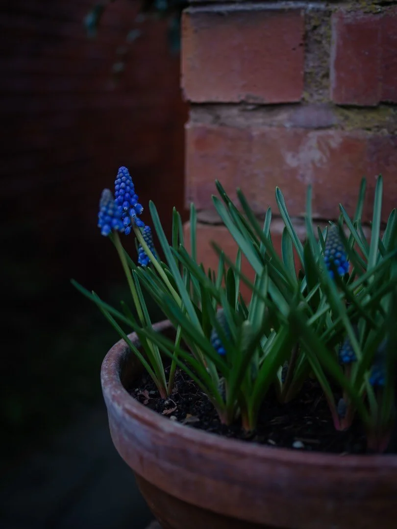 🌿&nbsp;When I look back at all the places which have meant the most to me, the landscapes whose inspiration is etched on my memory, it&rsquo;s the wild places. It&rsquo;s the great swathes of moorland like Dartmoor, the towering hills and valleys of