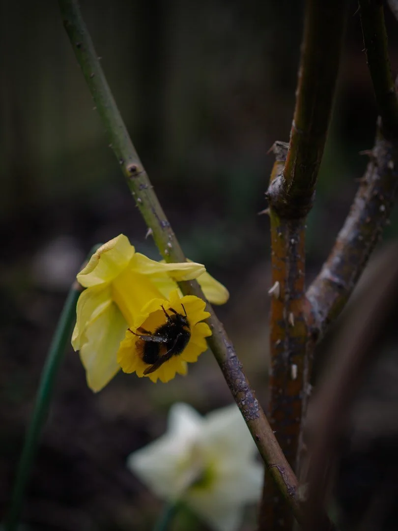 🐣&nbsp;The date of Easter is, quite literally, a moveable feast.

Using a calculation known as the computus paschalis, Easter Day falls on the first Sunday after the first ecclesiastical full moon following the Spring Equinox.

If that wasn&rsquo;t 