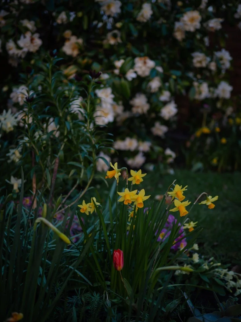 🕯️&nbsp;On Saturday, we went to the Easter Vigil service in the cathedral. Much like the Advent Carol Service, it begins in complete darkness.

If you&rsquo;ve ever spent time in an ancient building in the dark, you&rsquo;ll know that they possess t