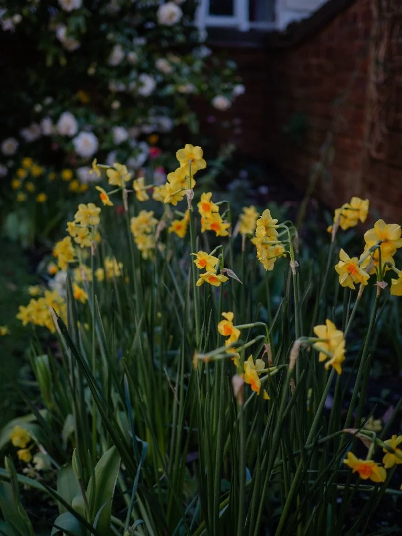 🌱&nbsp;As @clementineroseb and I walked out along a country lane last night, the late-evening sun seemed to accentuate the lush greens of early spring even more.

If it wasn&rsquo;t for the distant hum of traffic, the modern clothes we were wearing,