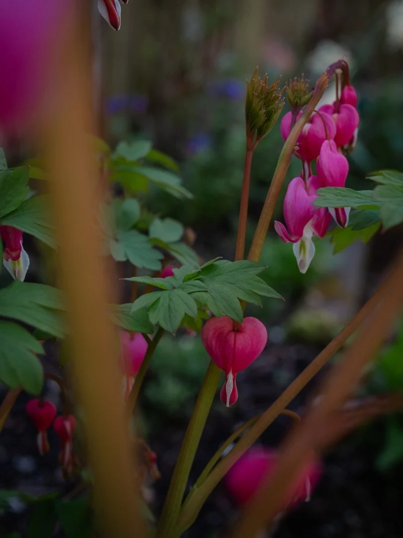 📕&nbsp;Long before words were written down, stories were told by firelight - passed from voice to voice, generation to generation. They&rsquo;ve always travelled with us, shaping who we are, and how we understand the world.

Some stay with us from c