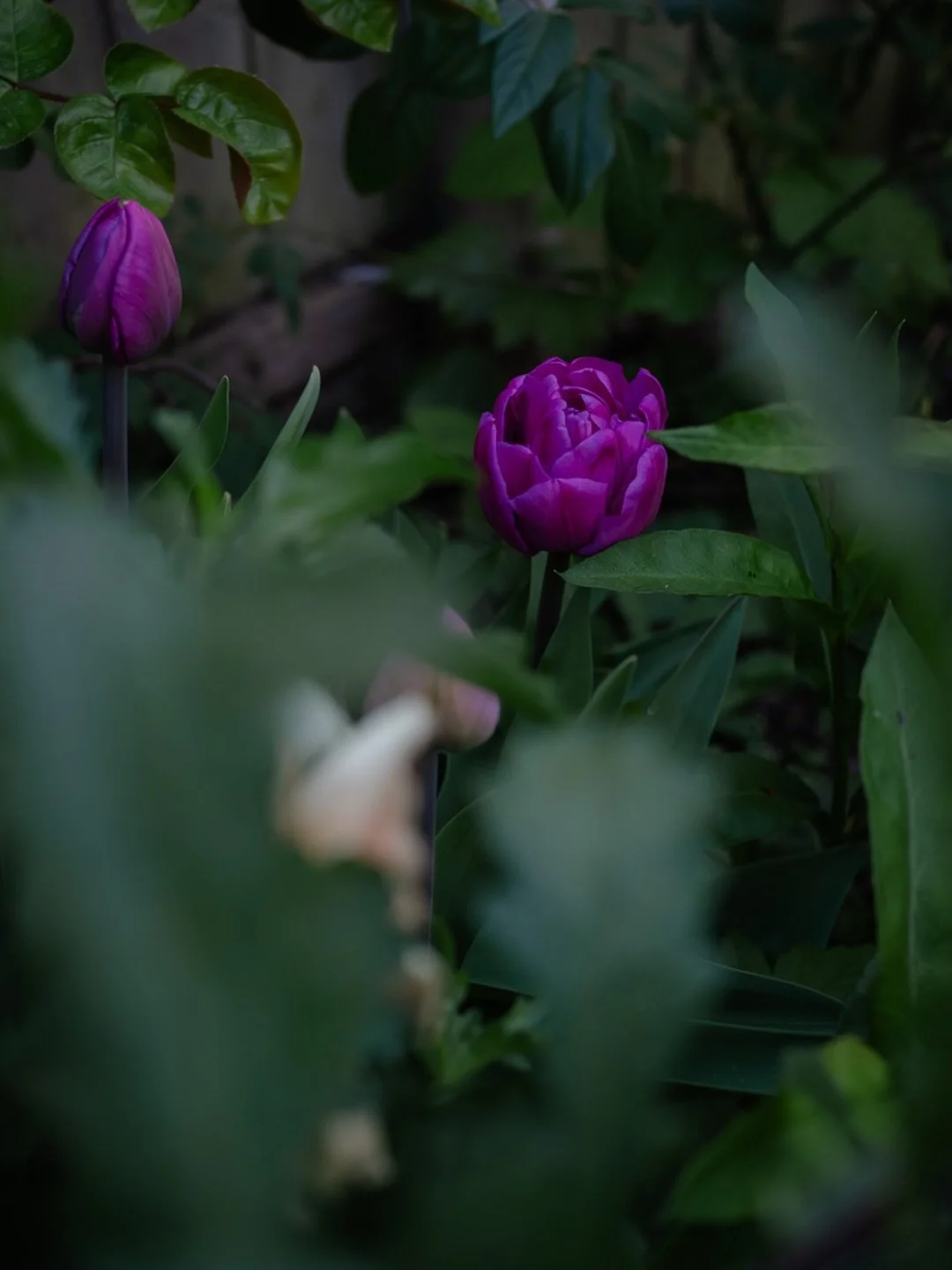 🌿&nbsp;Do you follow the recipe?

I used to be a stickler for following the recipe - to the letter. In some ways, I still am, but I suppose that as with so many other things, the longer you do something, the more you get a feel for it.

I used to ha